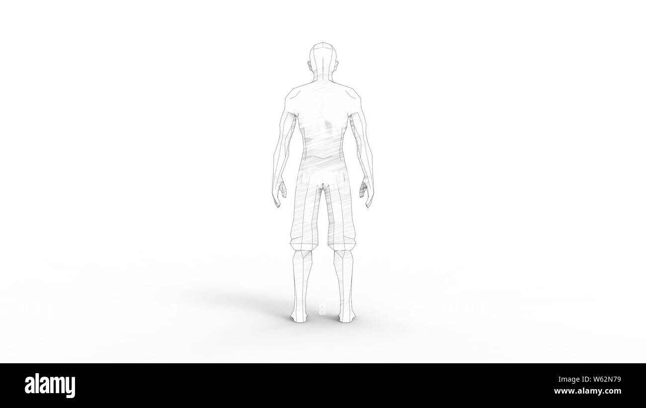 3D rendering of a digital human model isolated in white studio