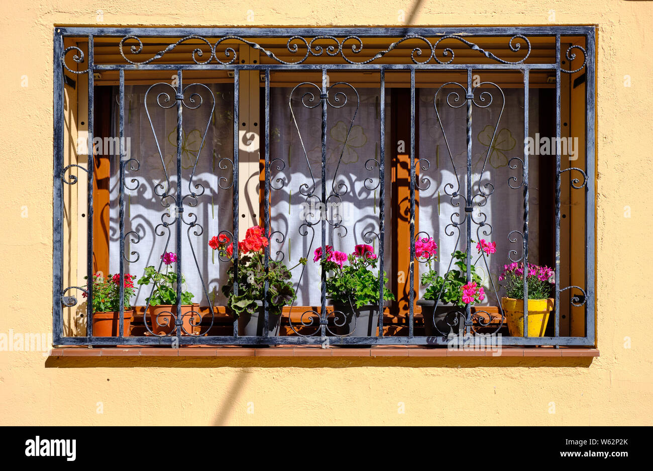 Three panel windows, with iron protective bars, with colourful flower