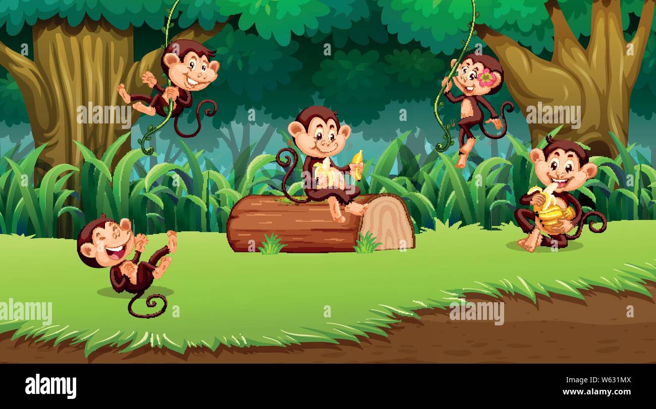 Monkey in jungle scene illustration Stock Vector Image & Art - Alamy