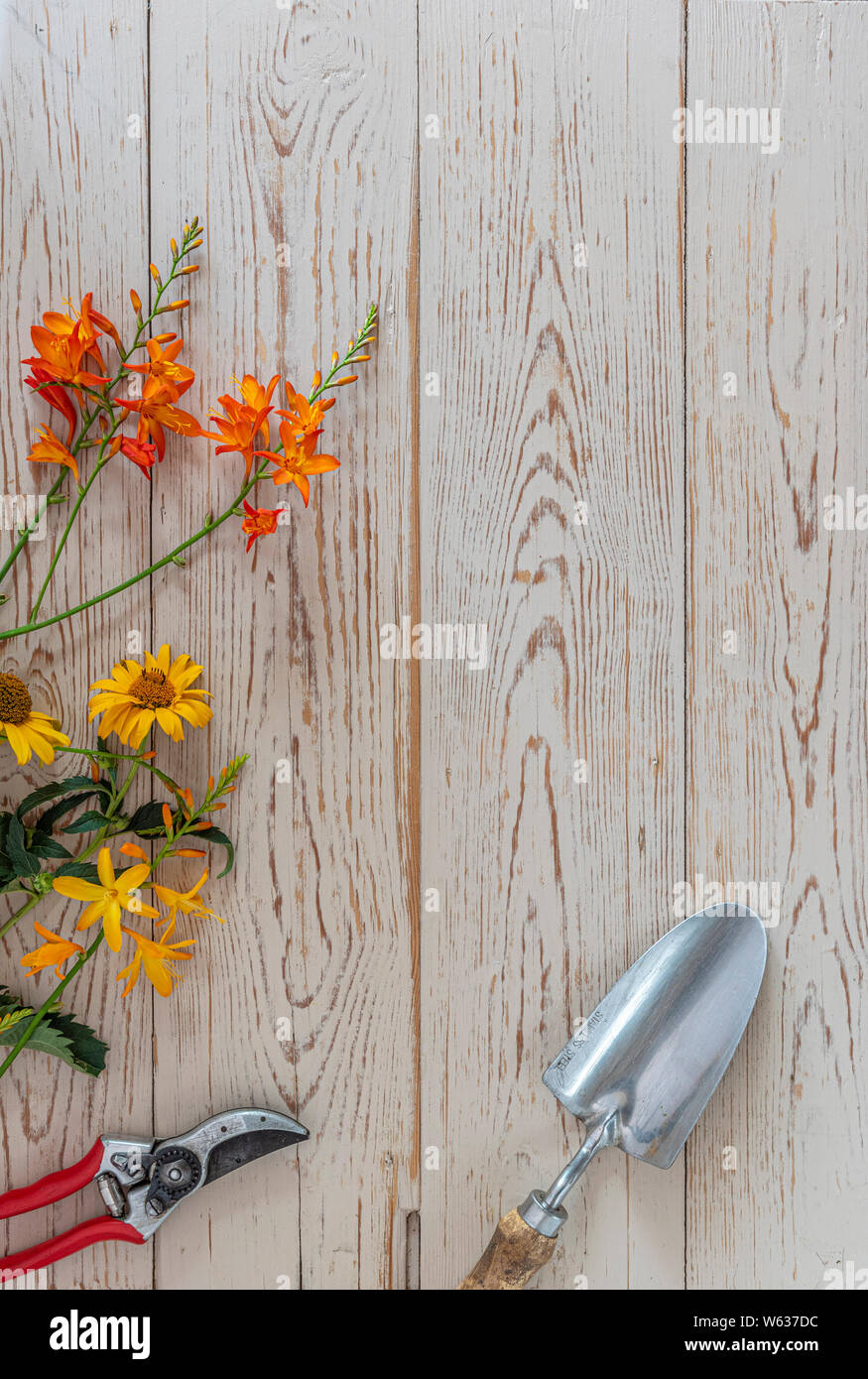 Summer flowers laid on a wooden table, with copy space and garden tools. Stock Photo