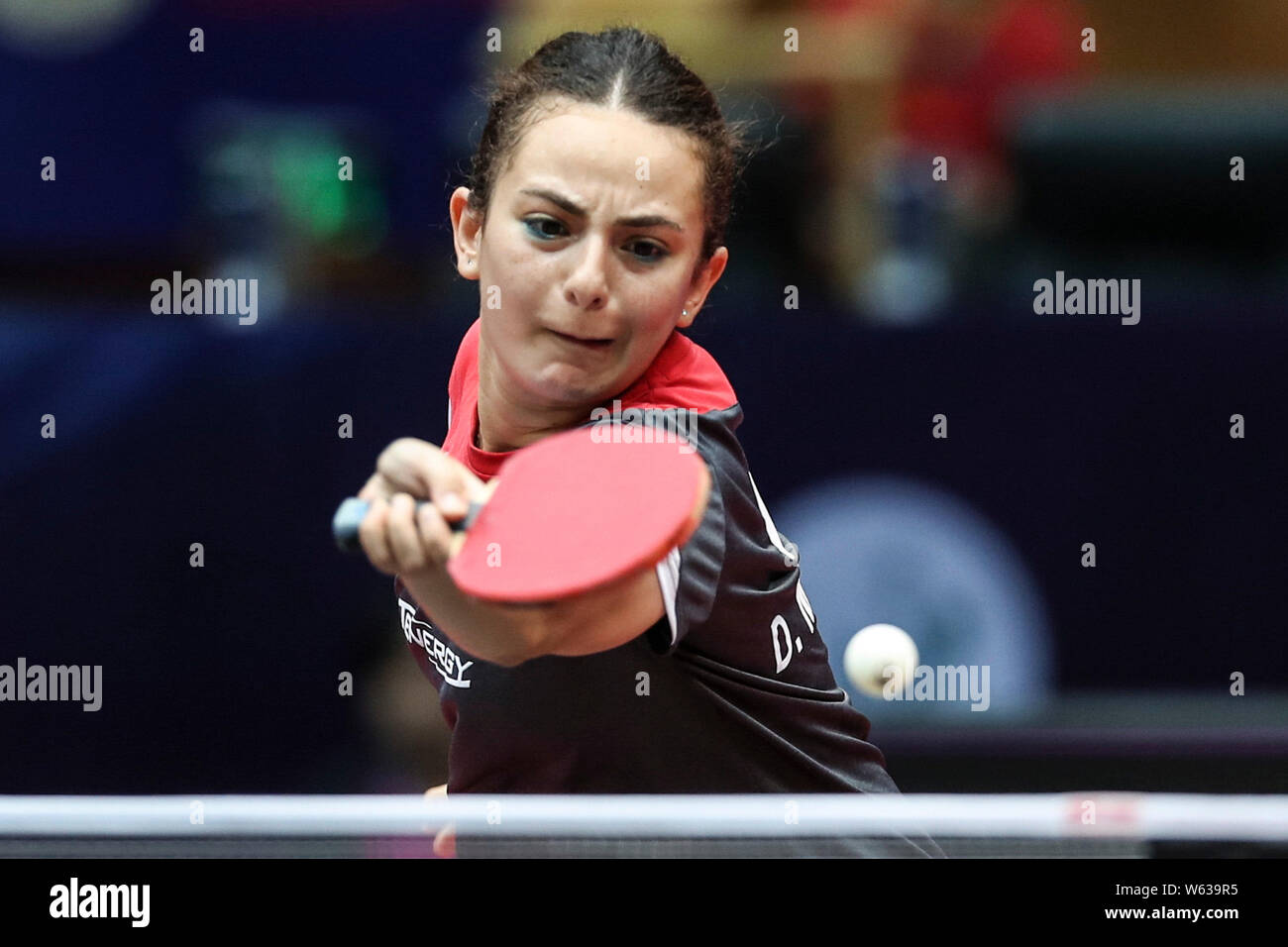 Dina Meshref High Resolution Stock Photography and Images - Alamy