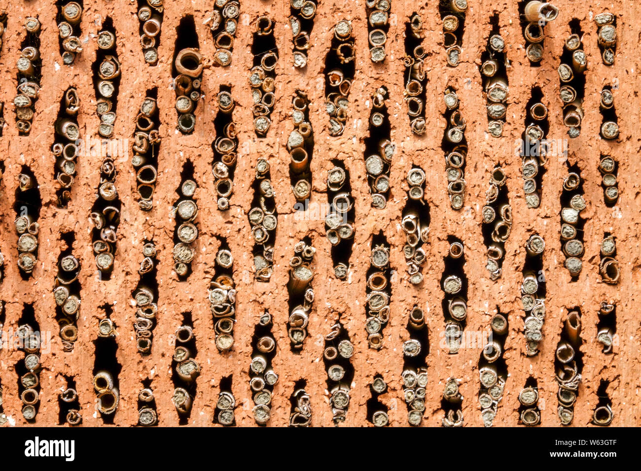 Insect hotel in brick Structure, simple shelter, cracks and holes ...