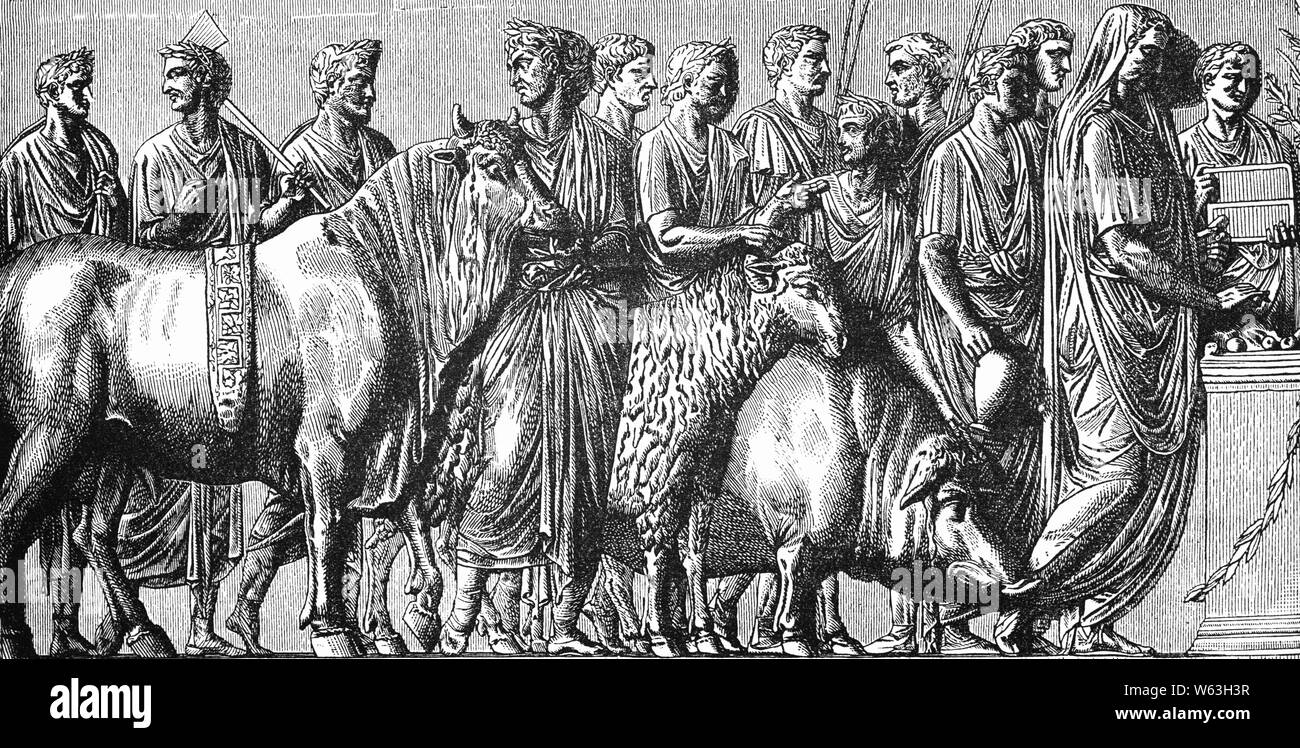 Basically, a sacrifice, or sacrificium, was a gift to the gods, heroes, emperors, or the dead.  The most potent offering in Ancient Roman religion was animal sacrifice, typically of domesticated animals such as cattle, sheep and pigs. Each was the best specimen of its kind, cleansed, clad in sacrificial regalia and garlanded; the horns of oxen might be gilded. Sacrifice sought the harmonisation of the earthly and divine, so the victim must seem willing to offer its own life on behalf of the community; it must remain calm and be quickly and cleanly dispatched. Stock Photo