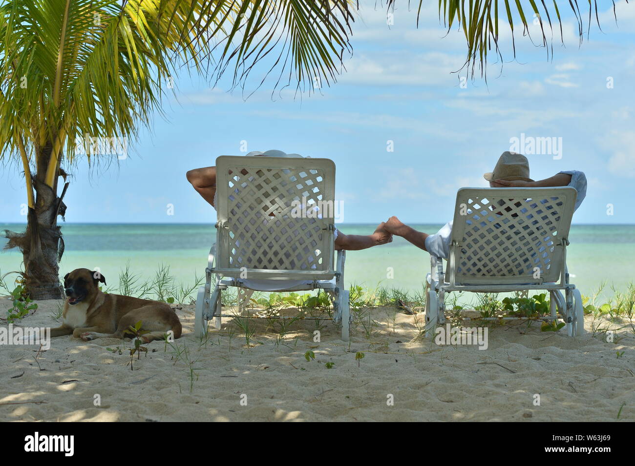 Happy elderly couple resting in chaise lounges at tropical beach Stock Photo