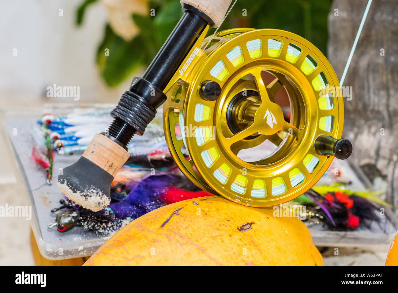 saltwater fly fishing reels