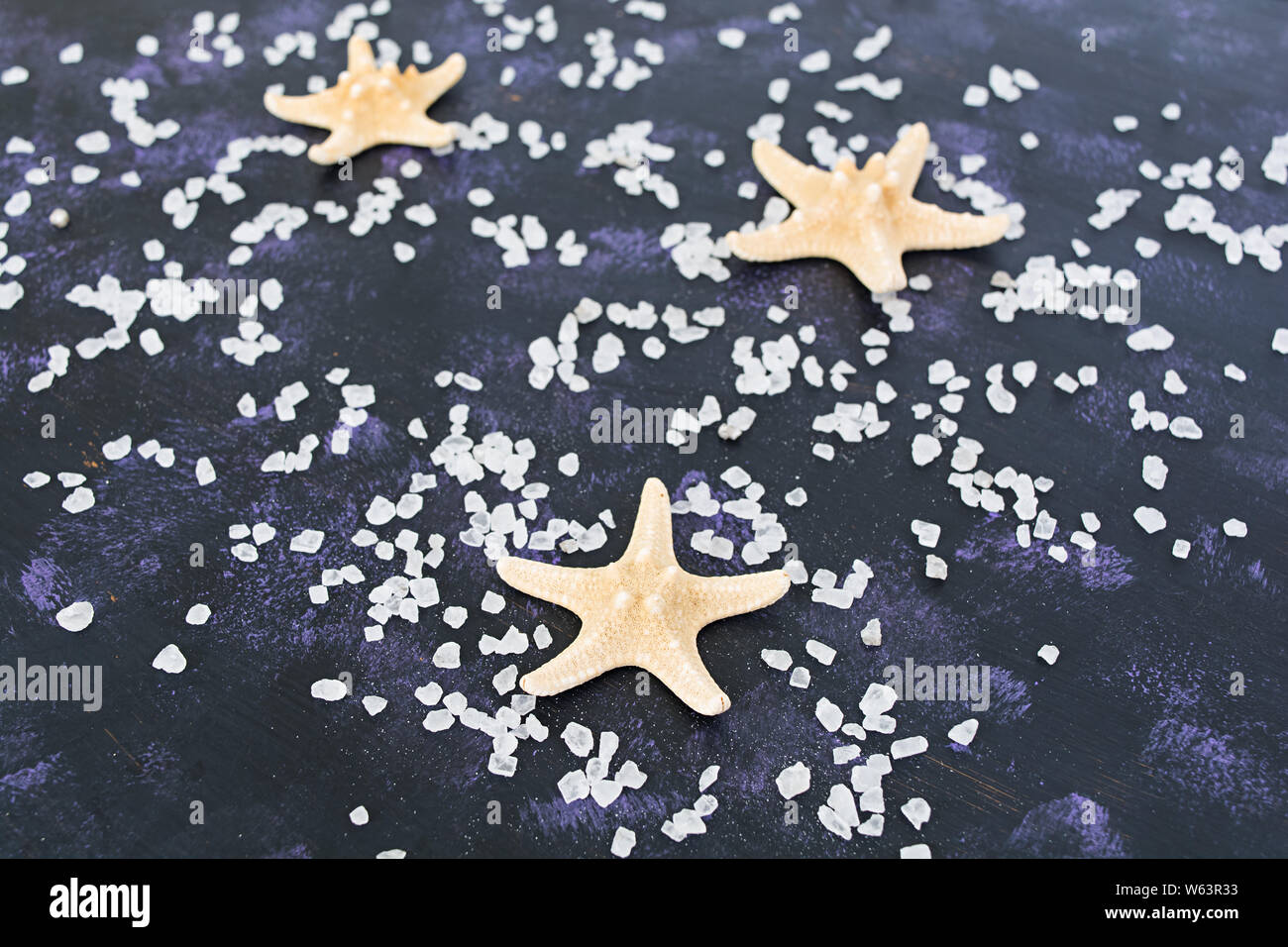 Seashell and starfish on dark background Stock Photo