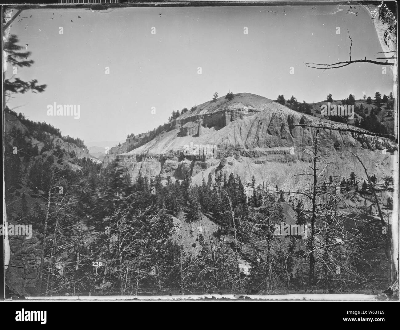 Column Rocks, on the east bank of the Yellowstone Stock Photo - Alamy