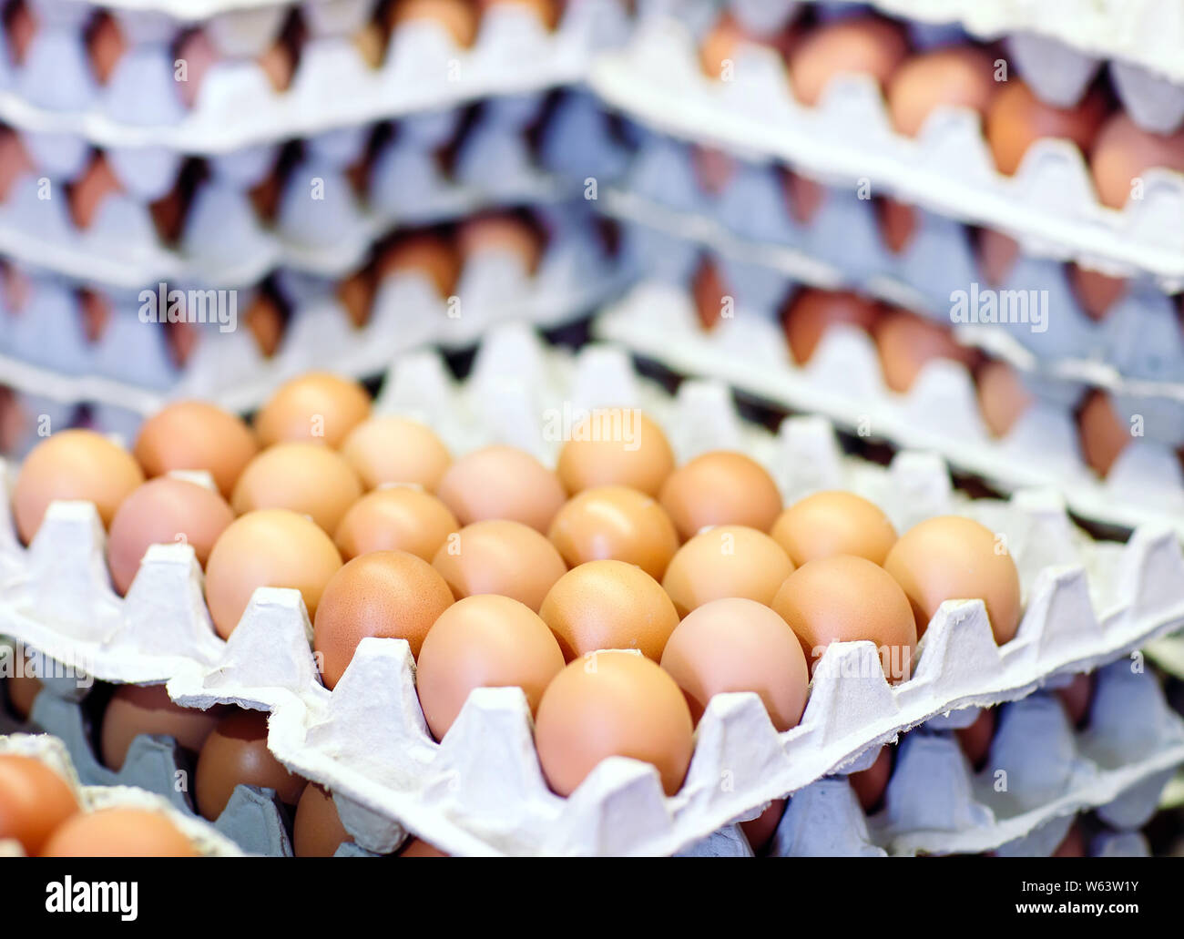 A lot of eggs in the cardboard boxes Stock Photo Alamy