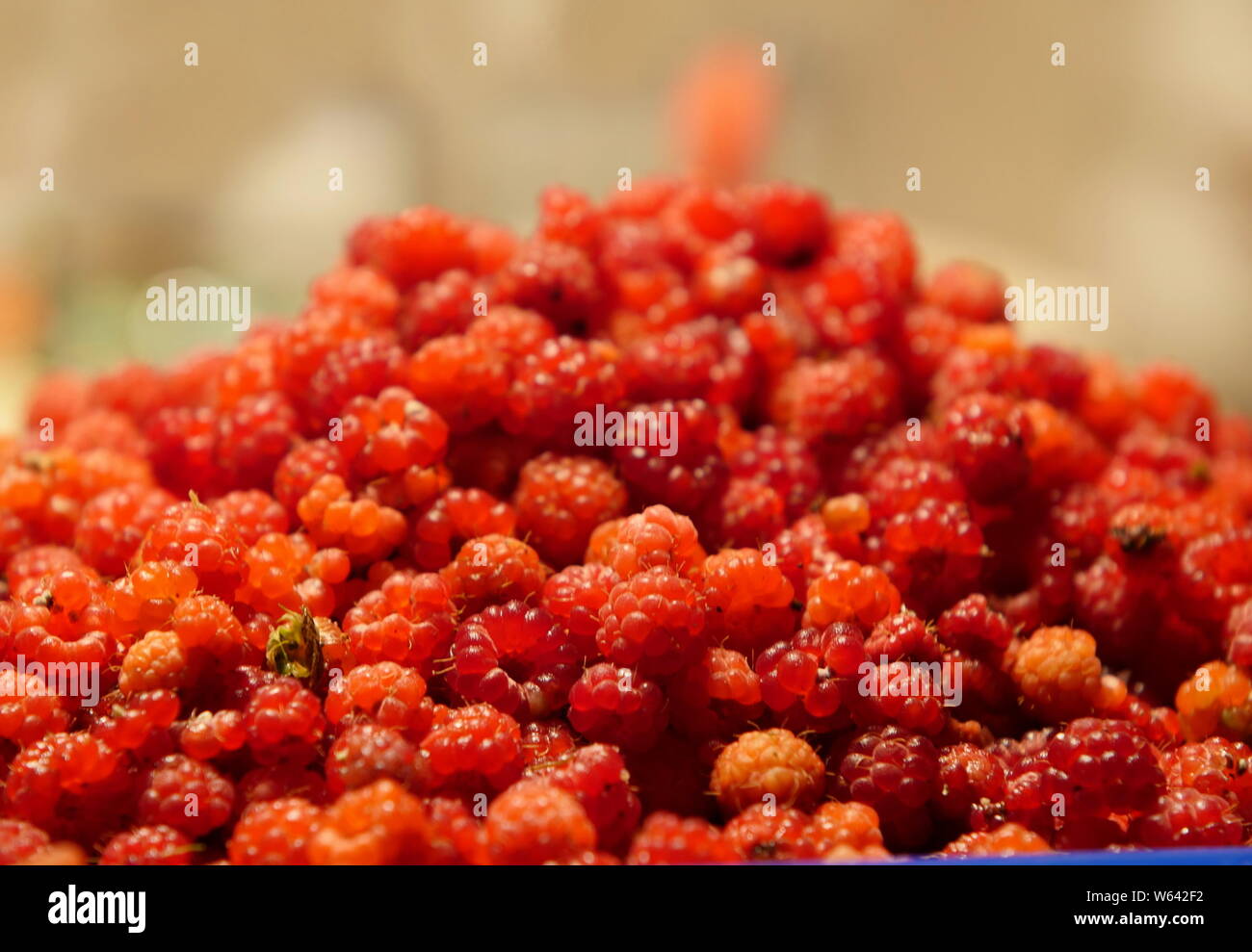 Speediberry Raspberries ripe sweet berry raspberries bunch Stock Photo - Alamy