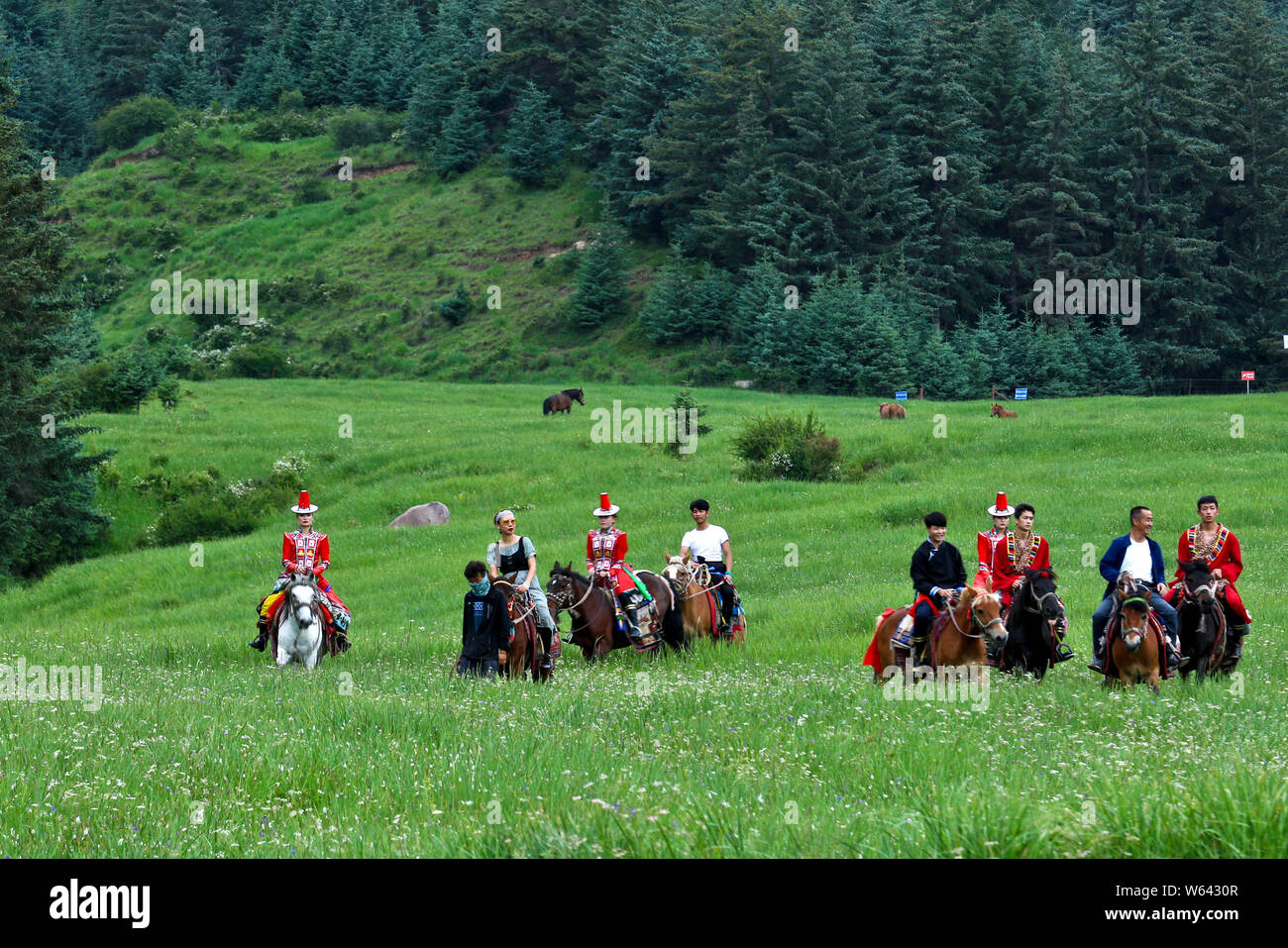 Gansu, China. 22nd July, 2019. In summer, horseshoe Tibetan township, Yugu autonomous county, Sunan county, Gansu province, the grassland is covered with green grass and the original forests overlap with the snow-capped Qilian mountains, attracting visitors to linger on the picturesque scenery.(photo taken on July 22, 2019) Credit: SIPA Asia/ZUMA Wire/Alamy Live News Stock Photo