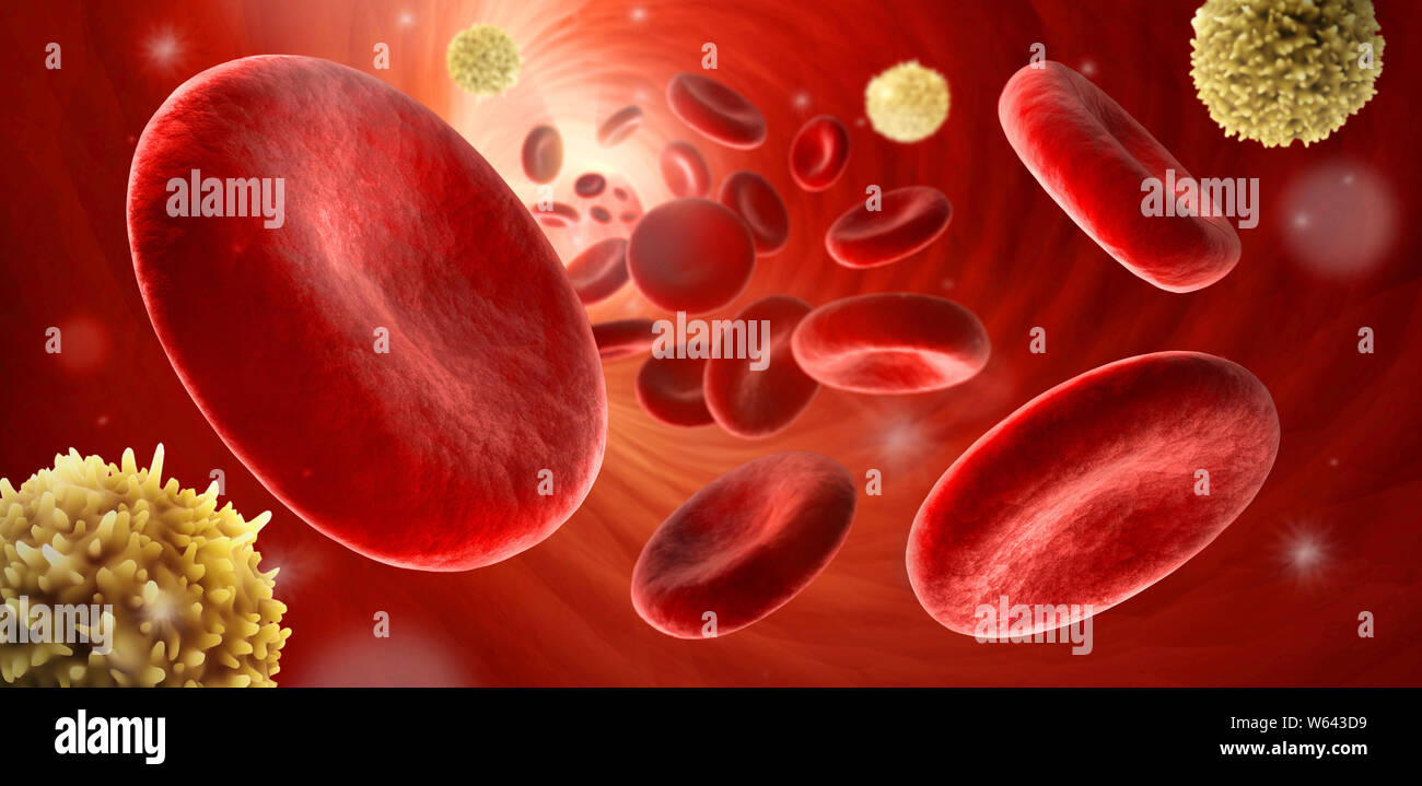 Red and white blood cells -Red blood cells -Erythrocyte 3D illustration Stock Photo