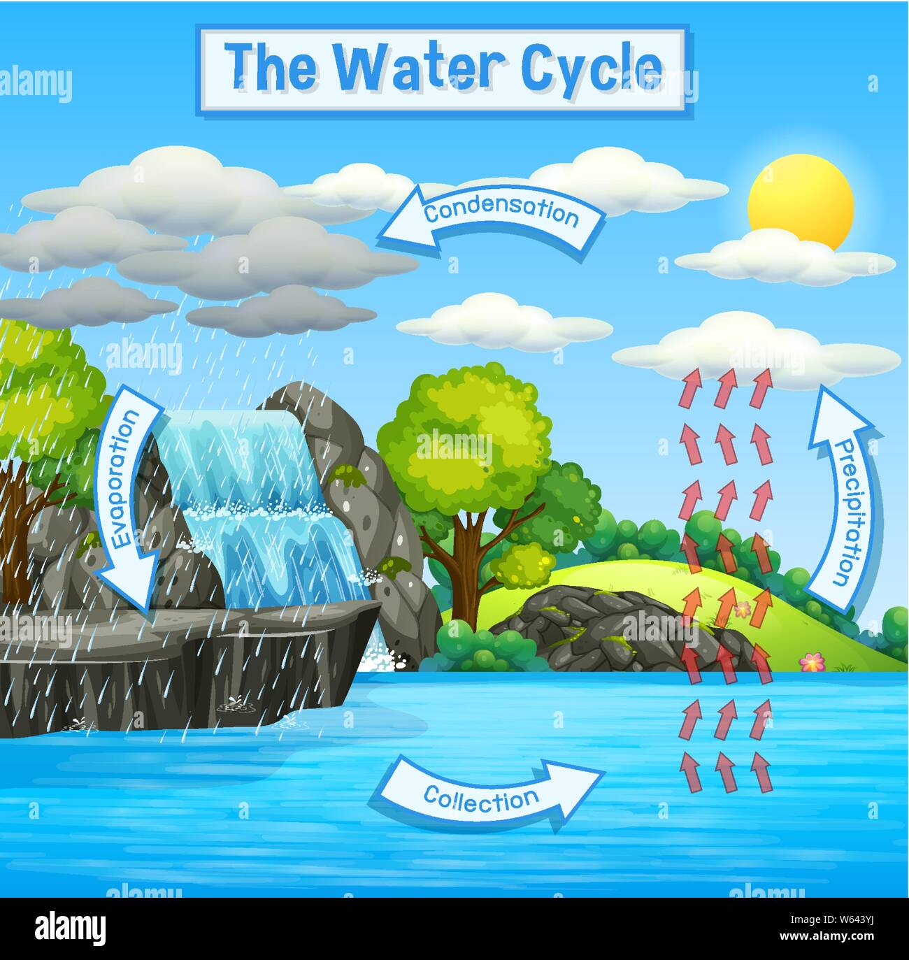 Water Cycle Diagram Labeling. Diagram | Quizlet-cacanhphuclong.com.vn