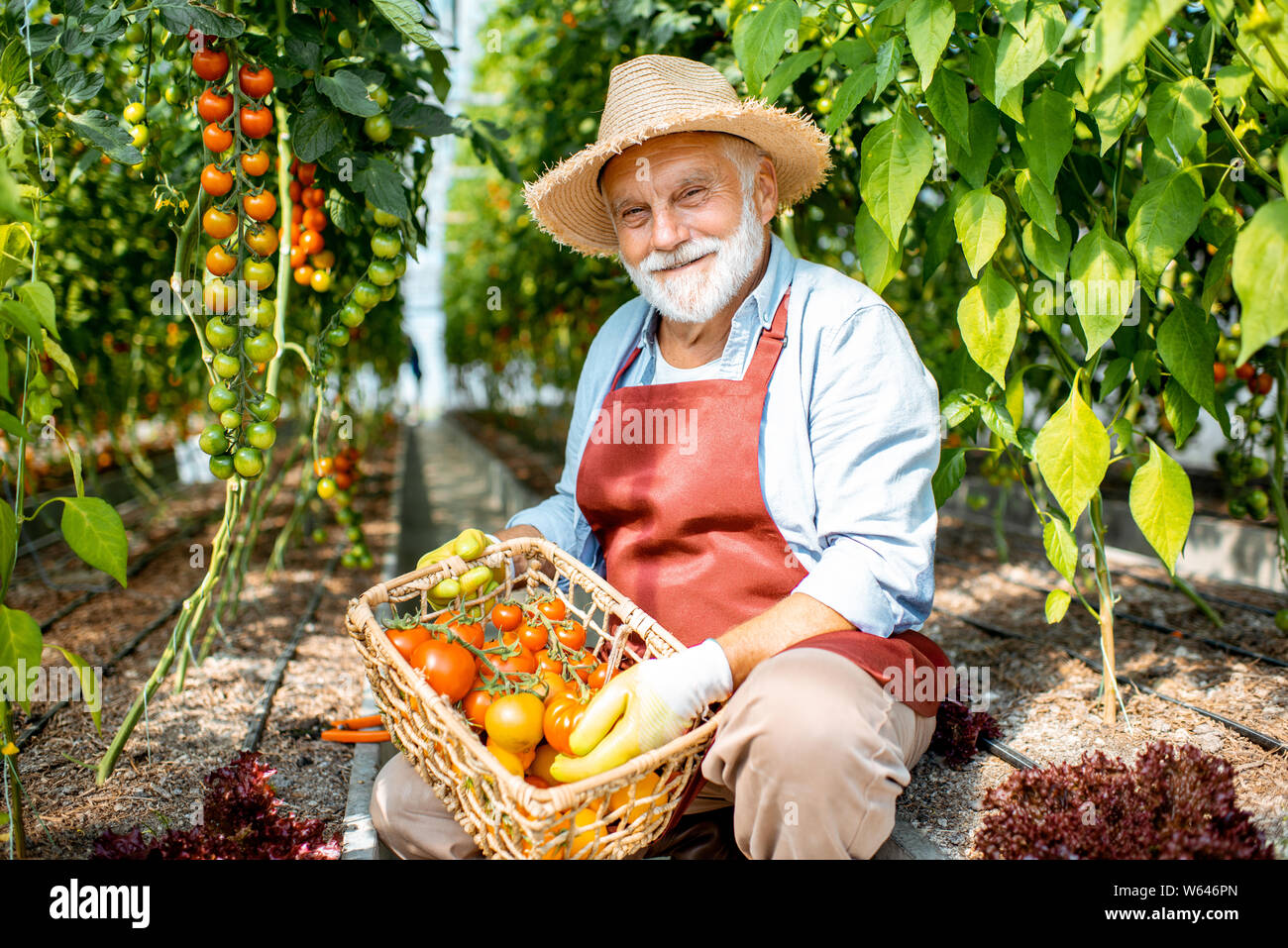 Portrait of a handsome well-dressed senior man with a basket full of ...