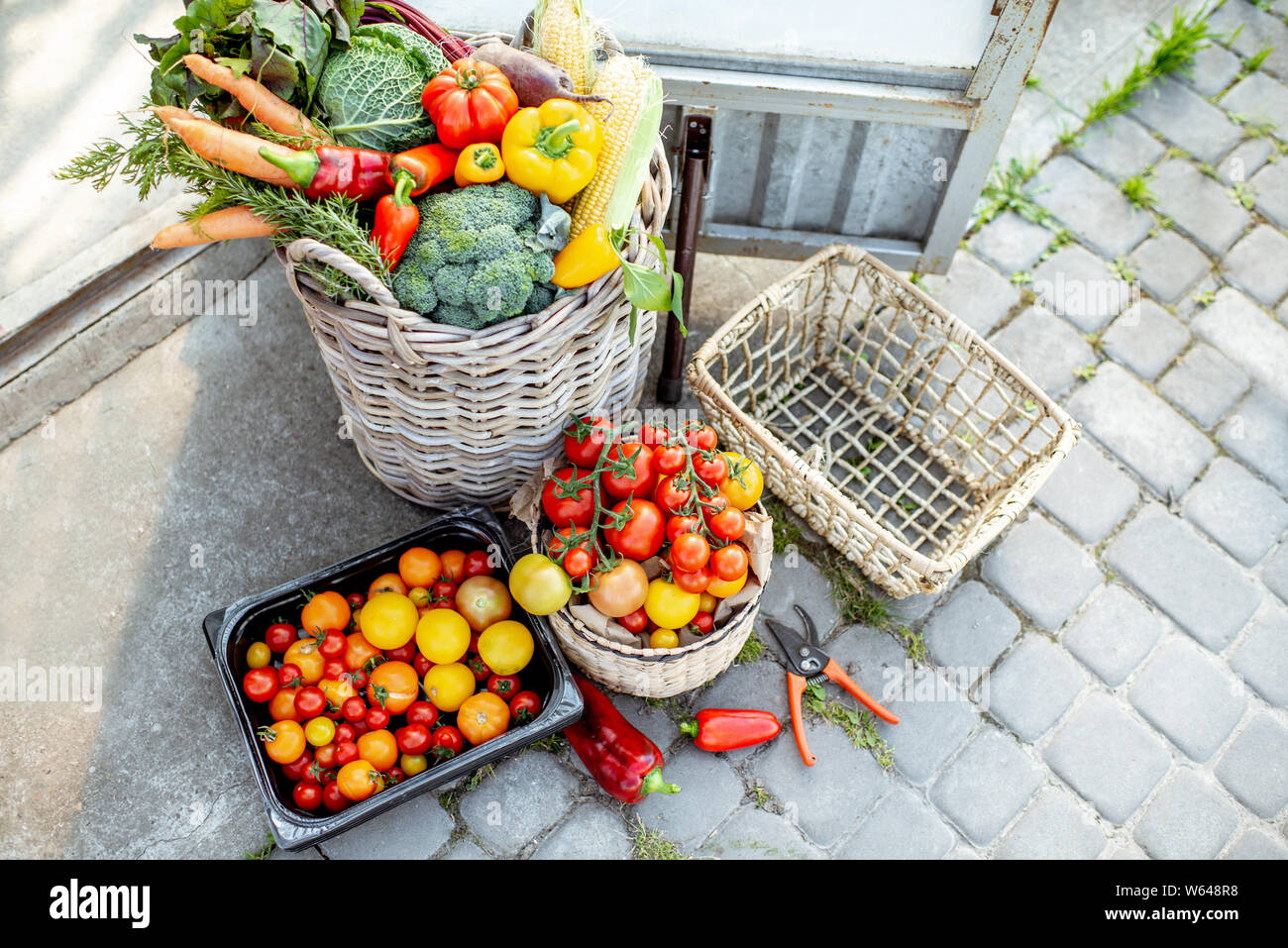 Baskets filled with freshly plucked vegetables and tomatoes on the organic farm Stock Photo