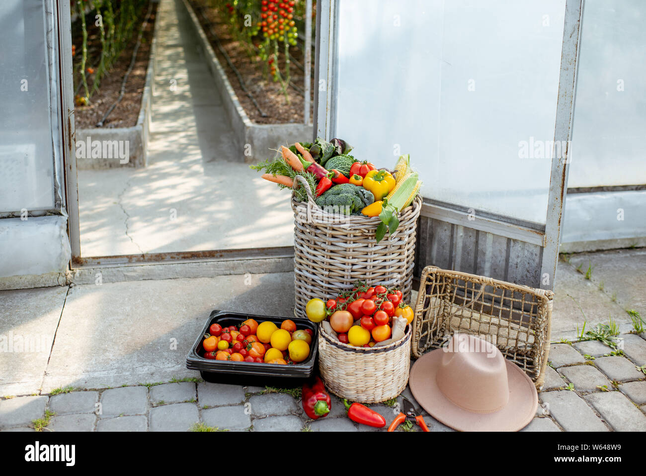 Baskets filled with freshly plucked vegetables and tomatoes on the organic farm Stock Photo