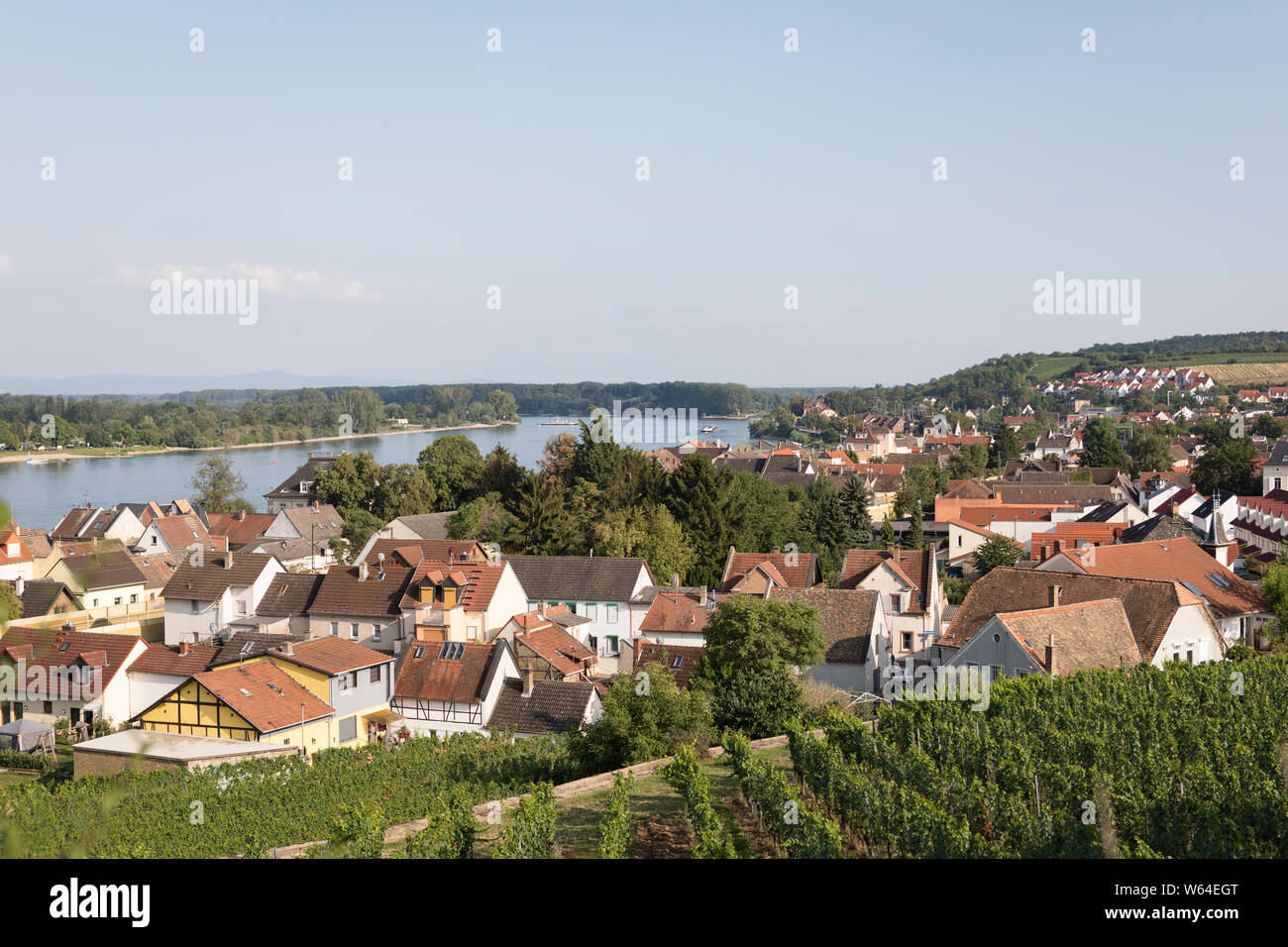 View on the town of Nierstein, Germany with a vineyard and grapes in front and the river Rhine in the background Stock Photo