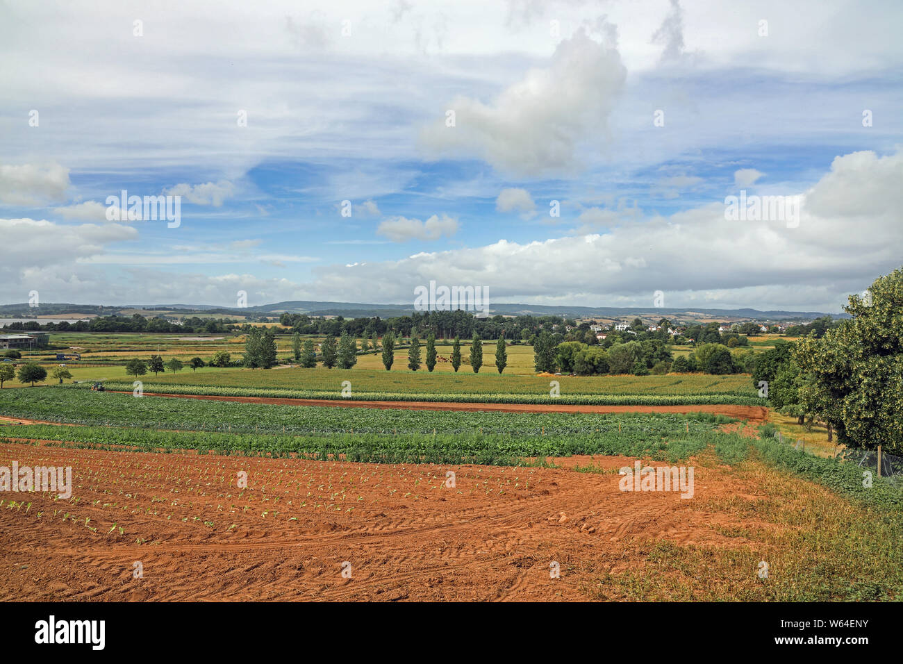 Tractor farming in an idylic setting near Darts Farm complex near Topsham in Devon. The famous red Devonian soil is seen to the fore Stock Photo