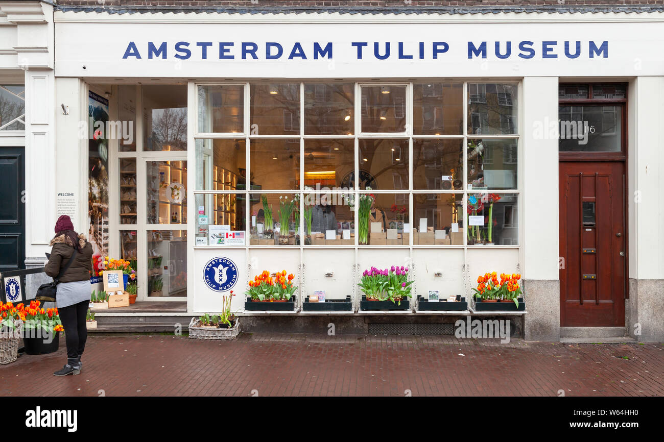 Amsterdam, Netherlands - February 25, 2017: Girl stands nearby the Facade of Amsterdam Tulip Museum, tourist shop with bulbous flowers and plants Stock Photo
