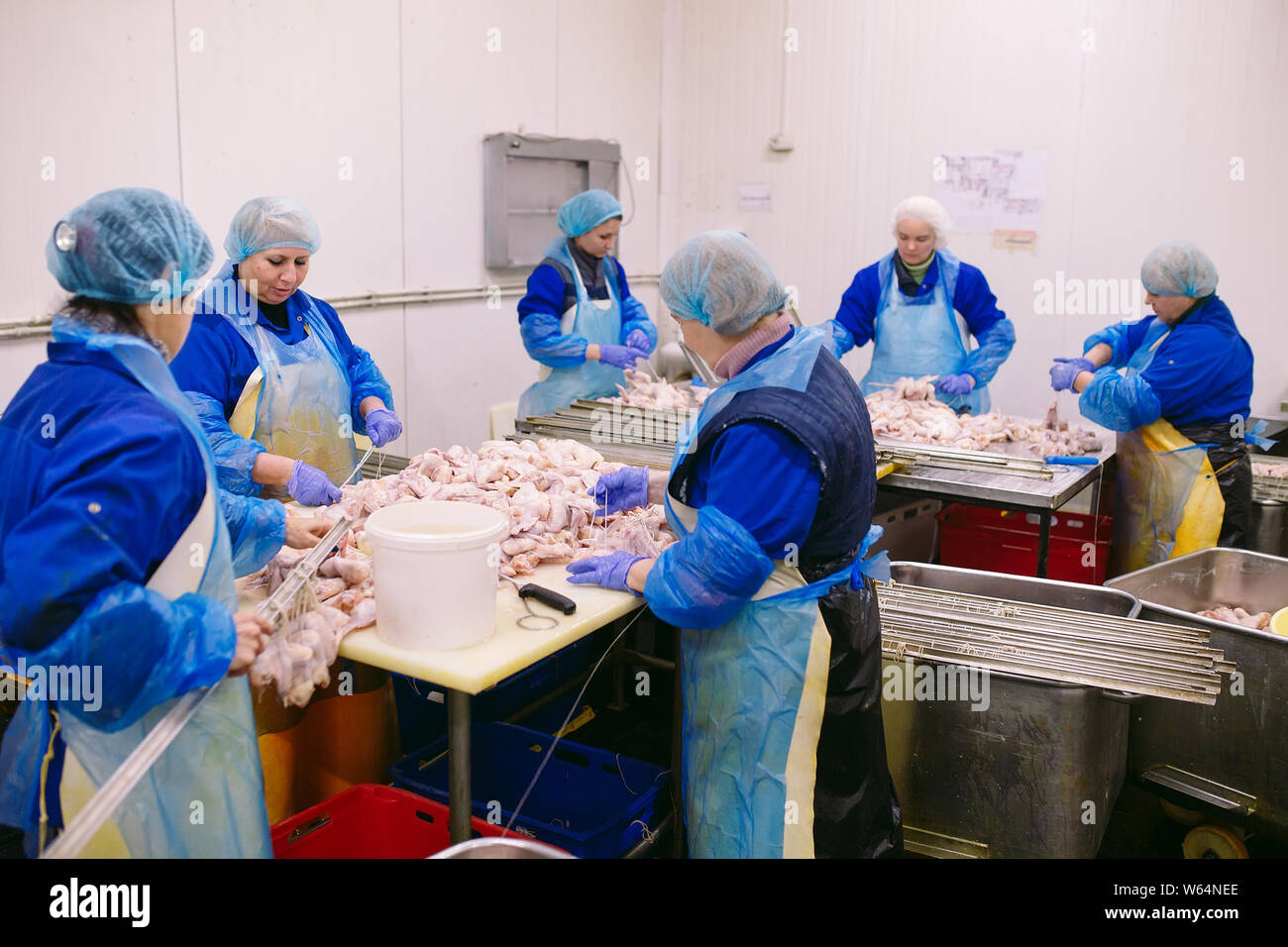 Workers working in a chicken meat plant Stock Photo Alamy