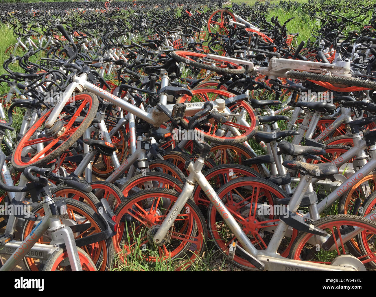 bike space