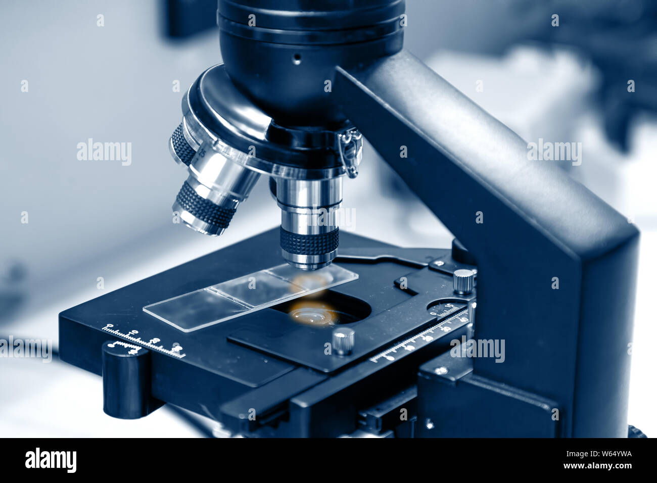 Microscope objectives and slide, vaccine search, virus Stock Photo