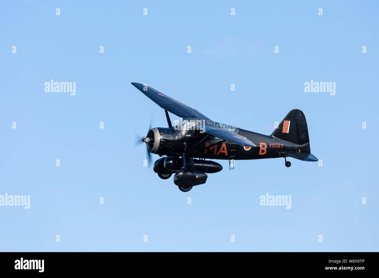 Westland Lysander, registration G-AZWT, with markings V9367, at Old Warden. Stock Photo