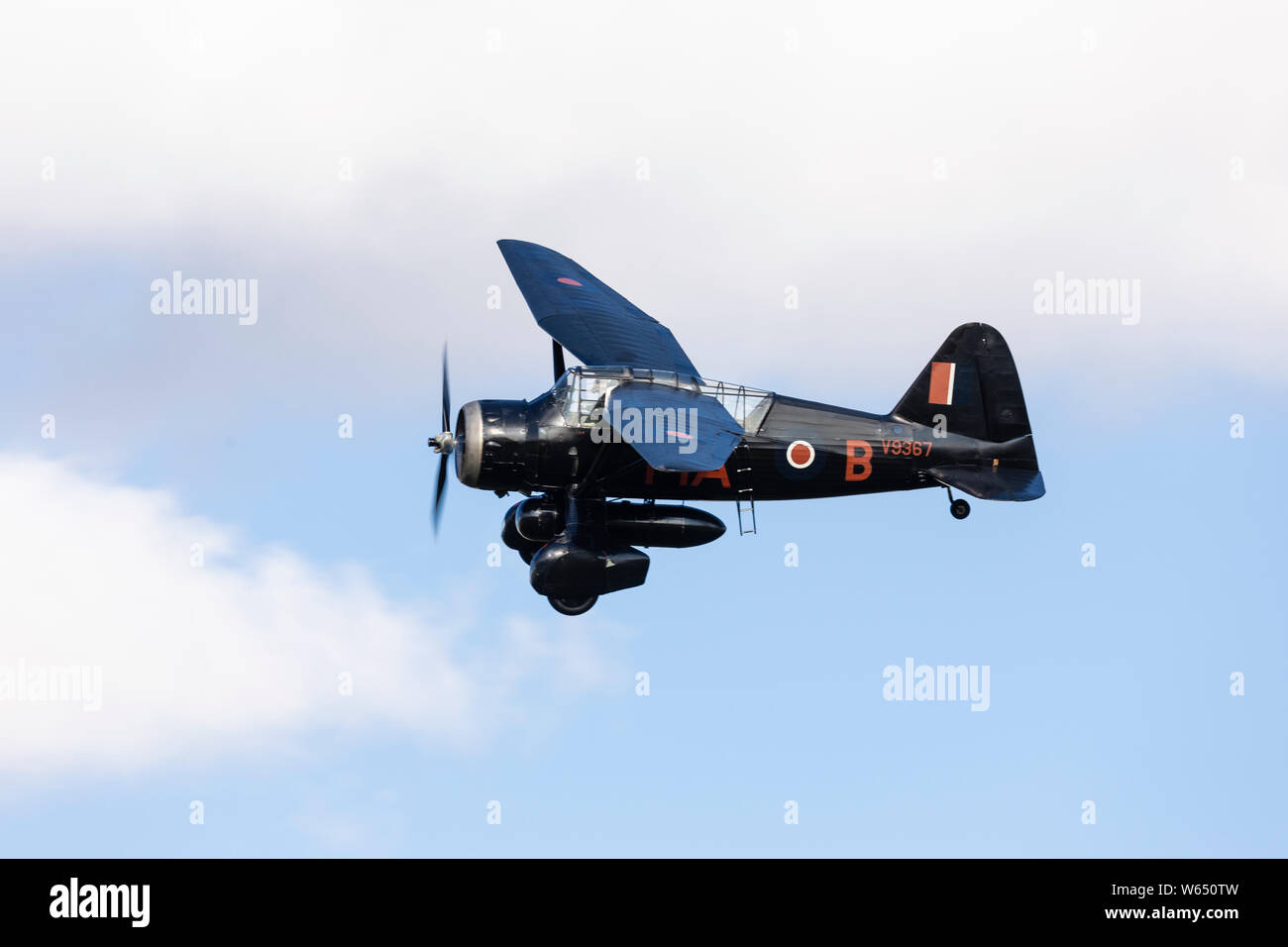 Westland Lysander, registration G-AZWT, with markings V9367, at Old Warden. Stock Photo