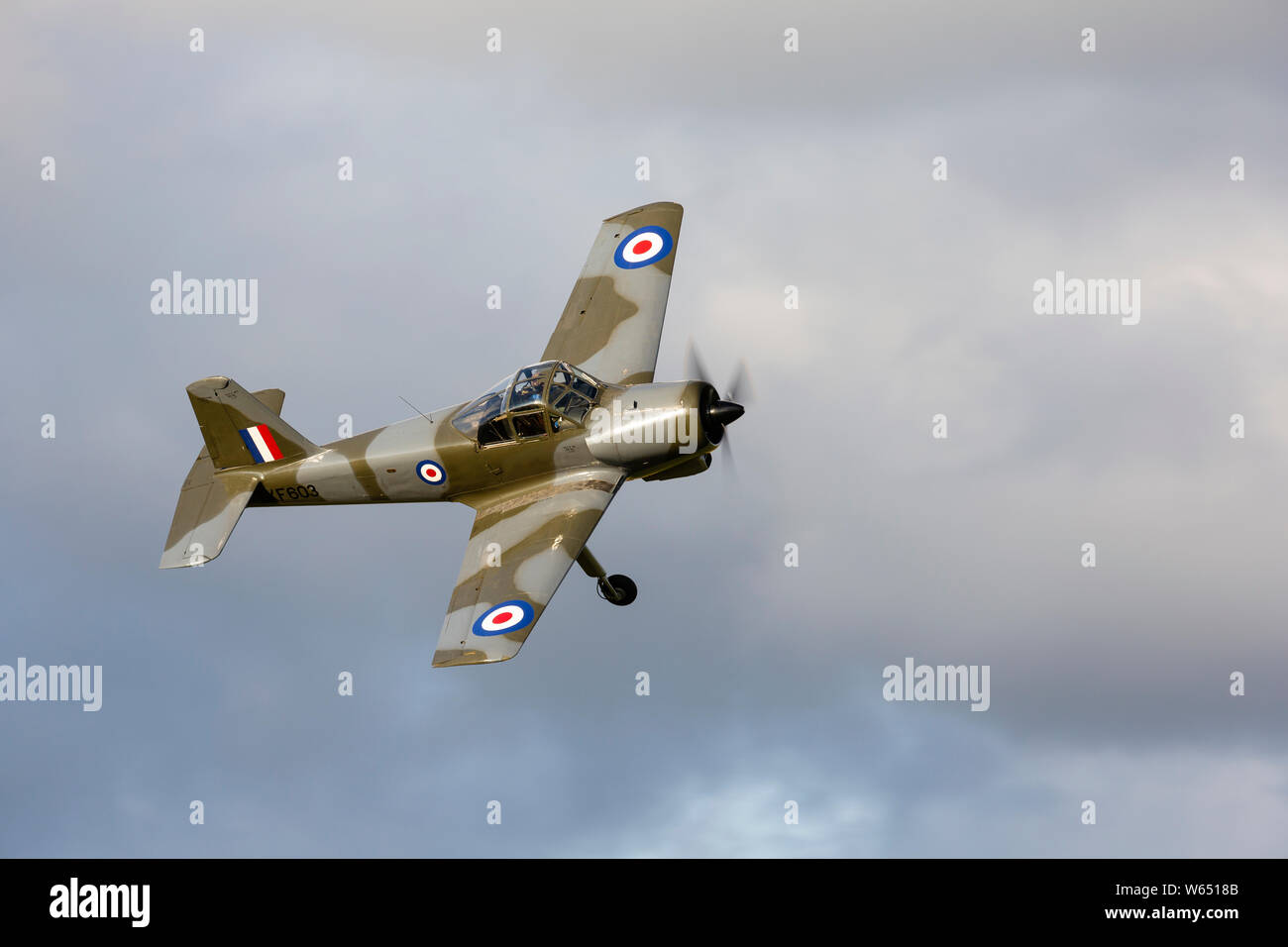 Percival Provost T.1 registered XF603, displaying at Old Warden. Stock Photo