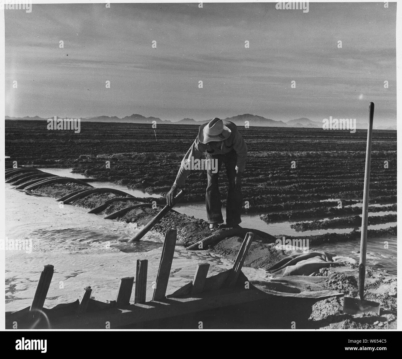 Eloy District, Pinal County, Arizona. Mexican irrigator siphoning from irrigation ditch to field.; Scope and content:  Full caption reads as follows: Eloy District, Pinal County, Arizona. Mexican irrigator siphoning from irrigation ditch to field. Stock Photo