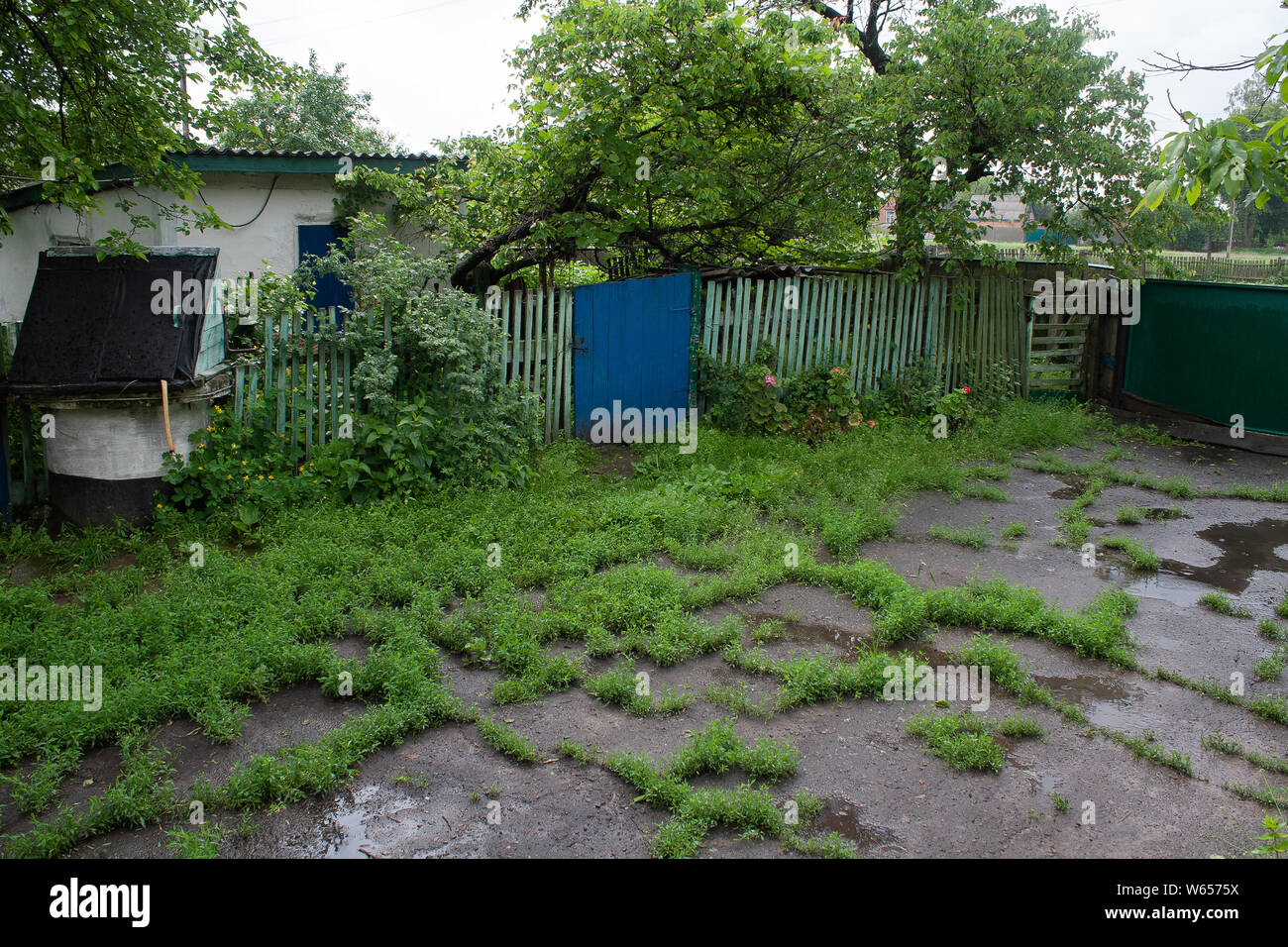 Rural yard after the rain overgrown with grass with boom and trees and puddles Stock Photo