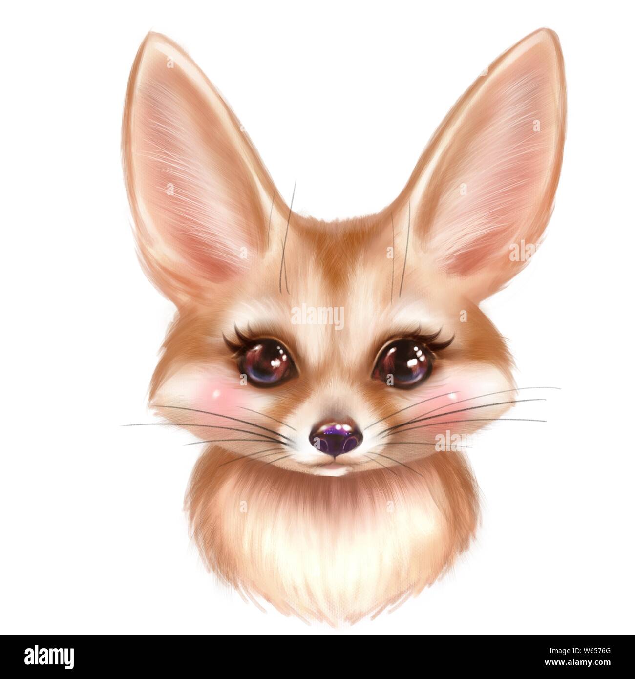 Portrait fennec animal mammal Cut Out Stock Images & Pictures - Alamy
