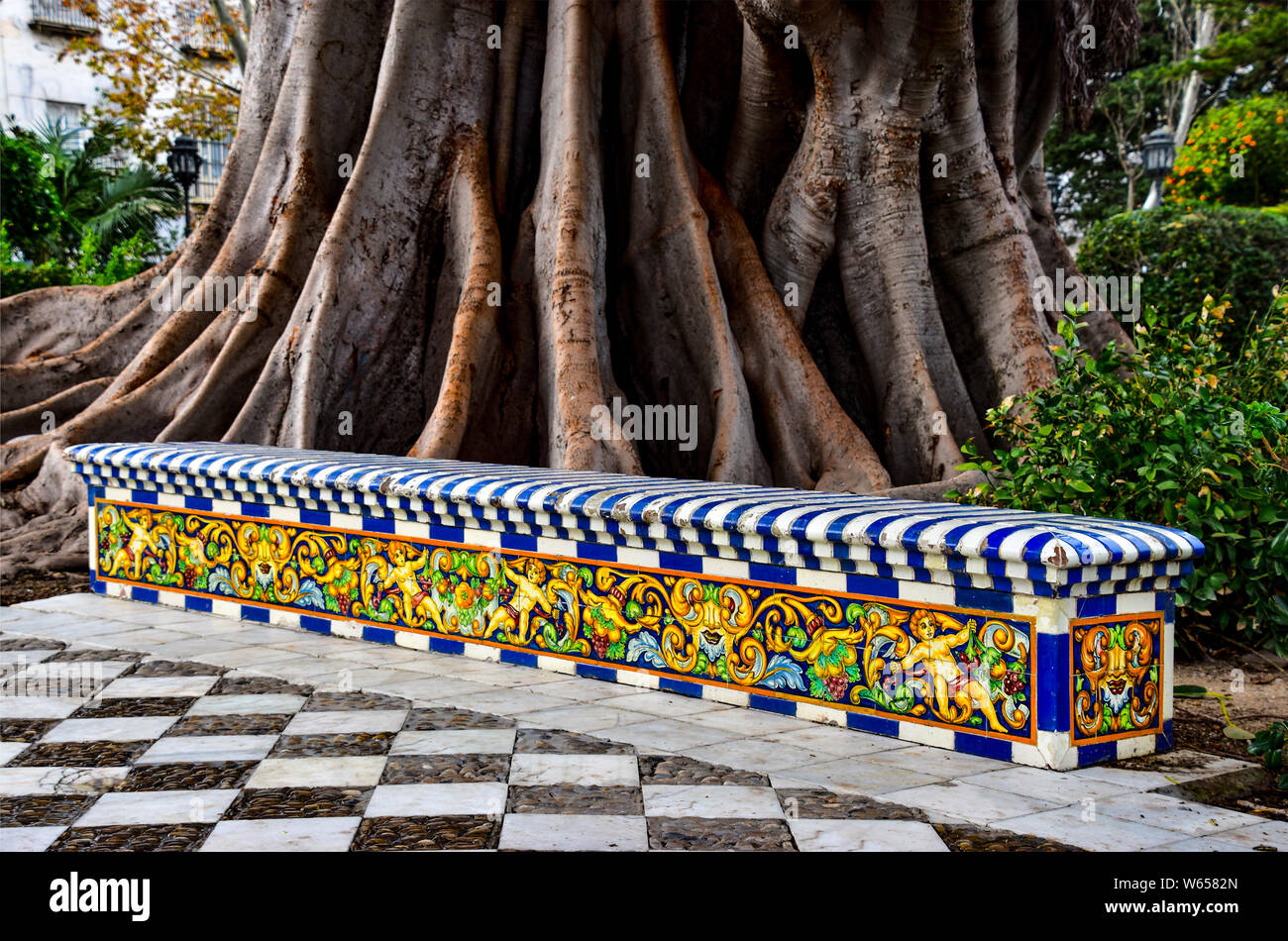Banyan tree and Spanish tiled seat, Cadiz, Spain Stock Photo Alamy