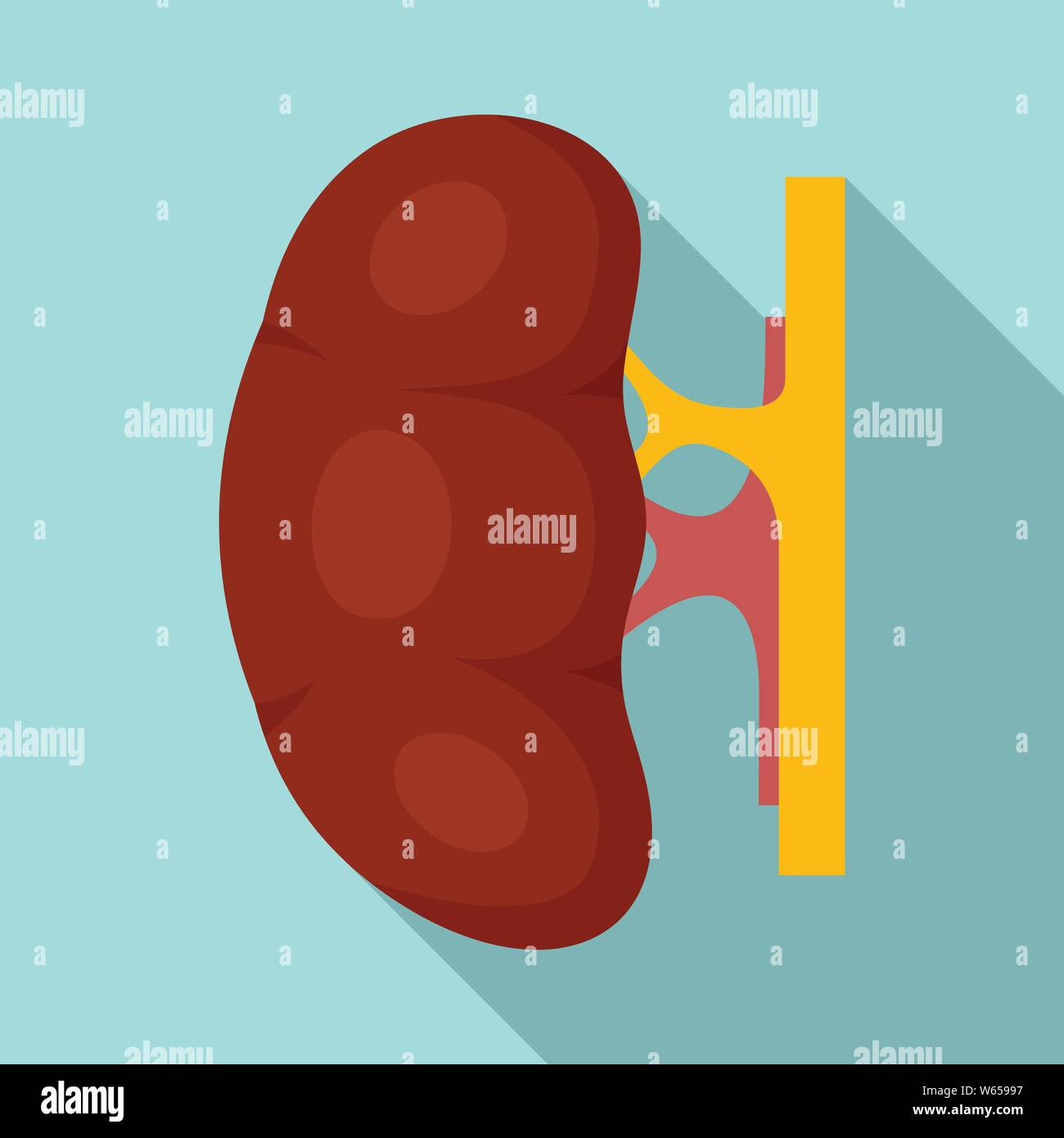 Human kidney icon. Flat illustration of human kidney vector icon for web design Stock Vector