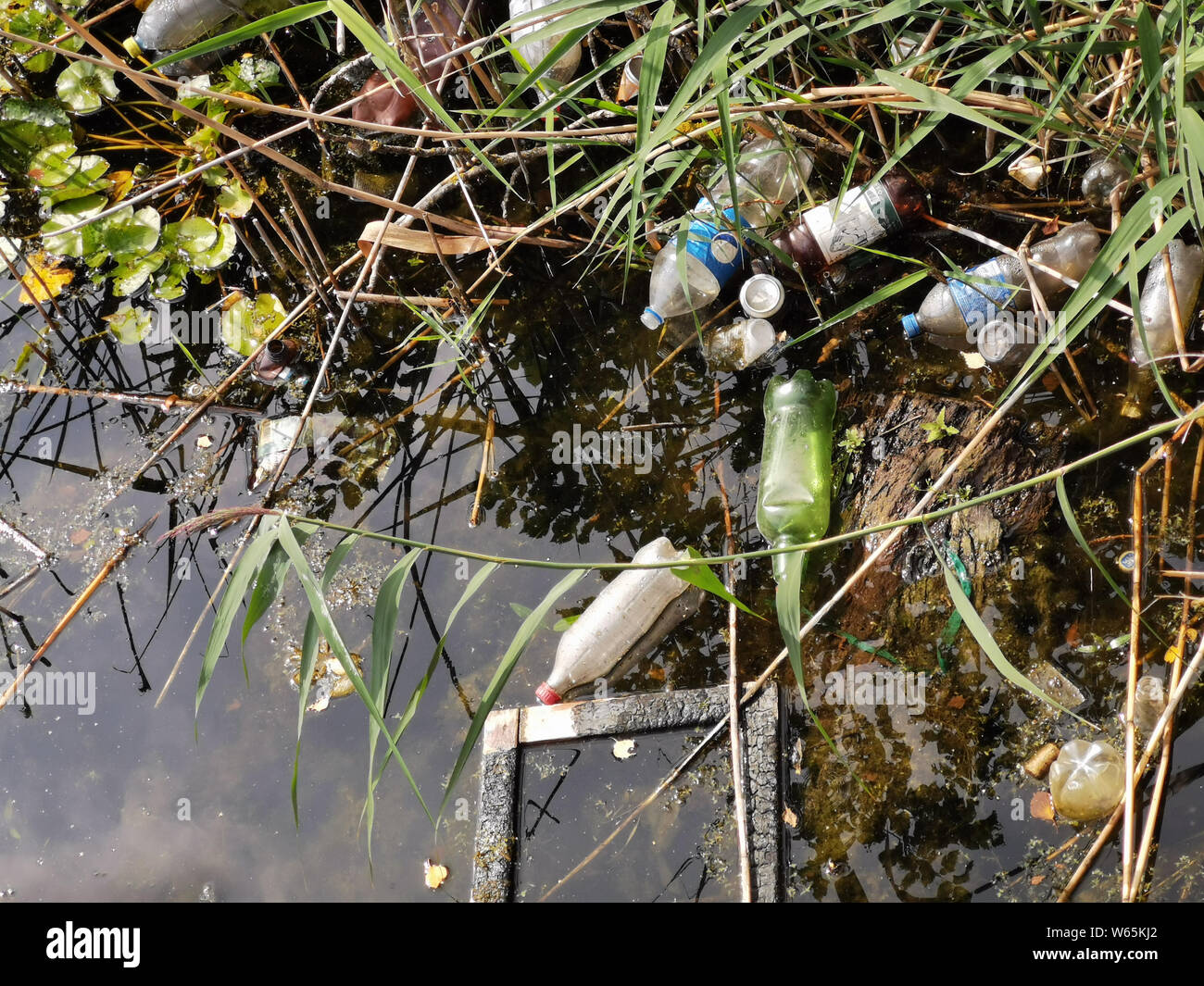 Floating debris in the river and in the shore.Ecological problem, environmental pollution. debris in the water Stock Photo