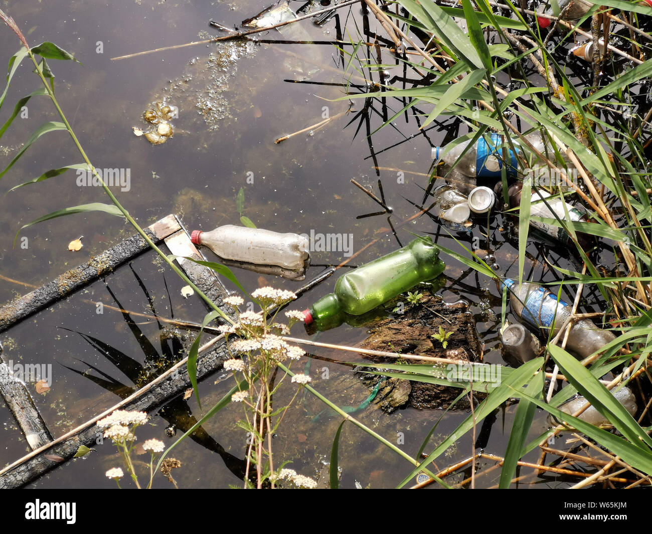 Floating debris in the river and in the shore.Ecological problem, environmental pollution. debris in the water Stock Photo