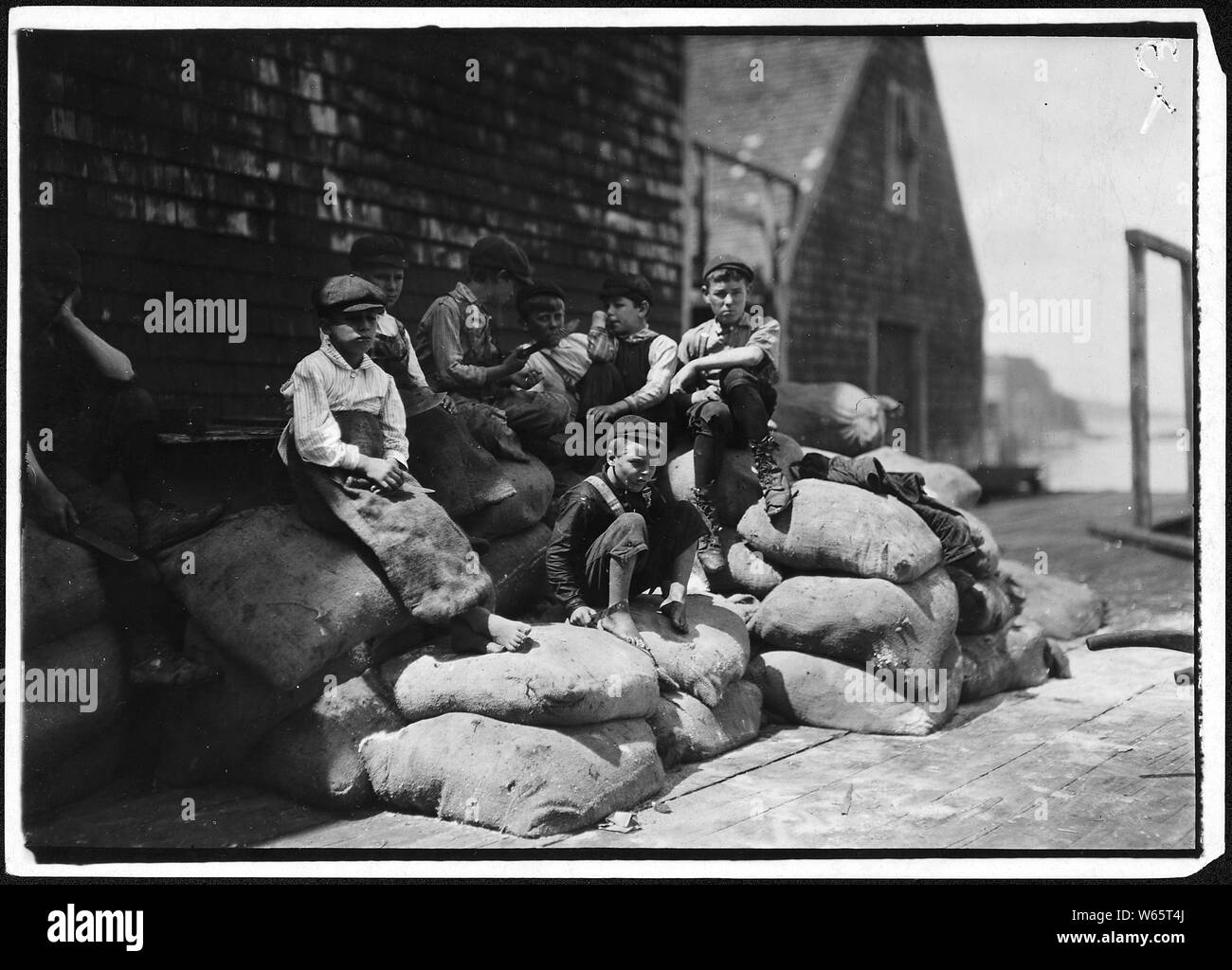 Group of young cutters in a canning factory, waiting for more fish