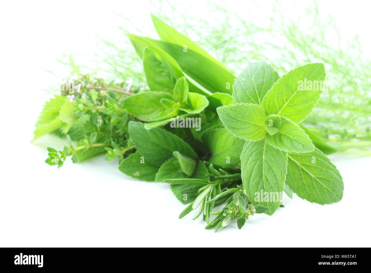 Herbs on white hi-res stock photography and images - Alamy