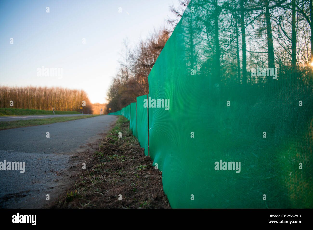 toad protection fence, Velbert, North Rhine-Westphalia, Germany, Europe Stock Photo