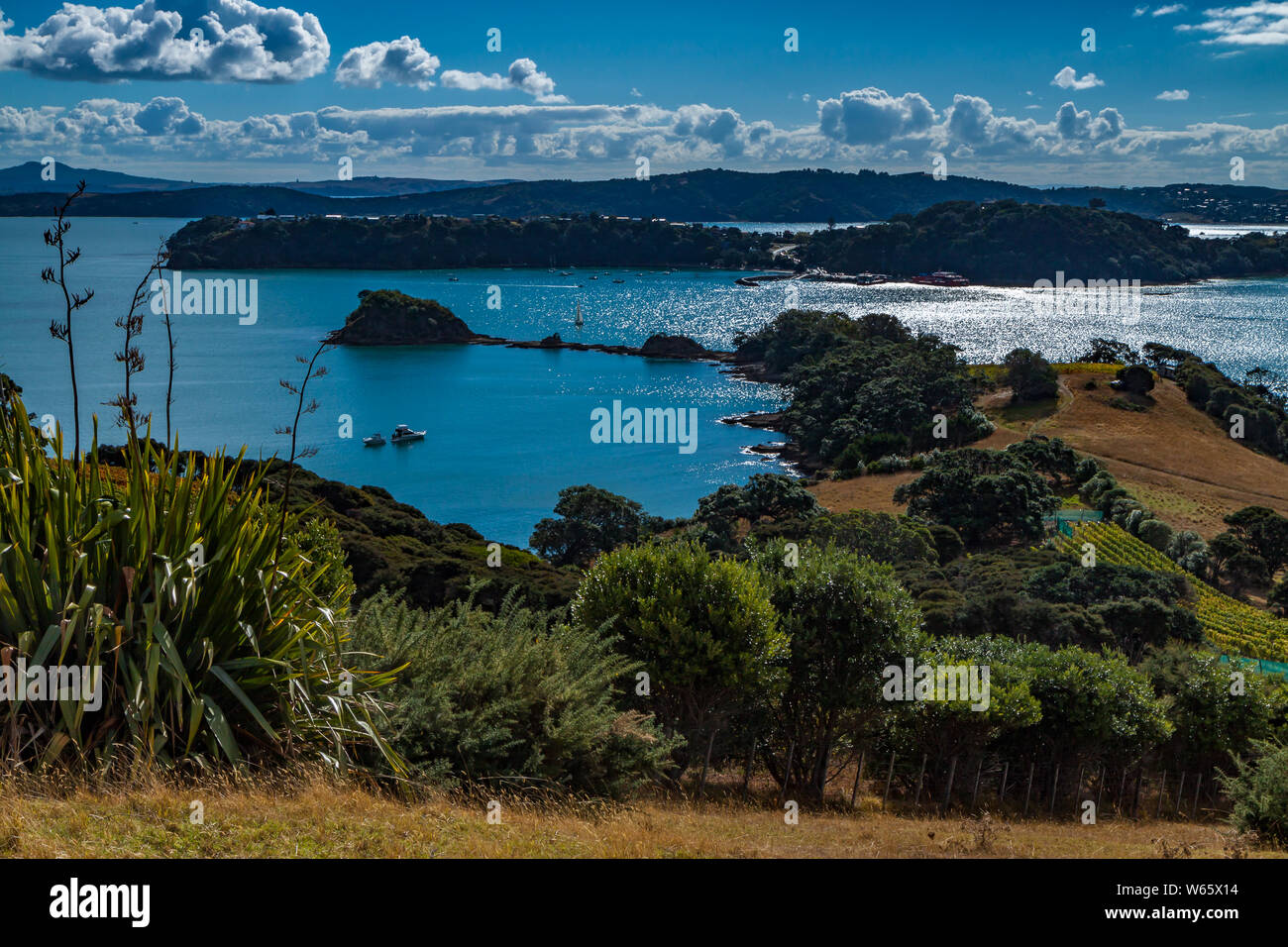 Rocky Bay Waiheke island Stock Photo Alamy
