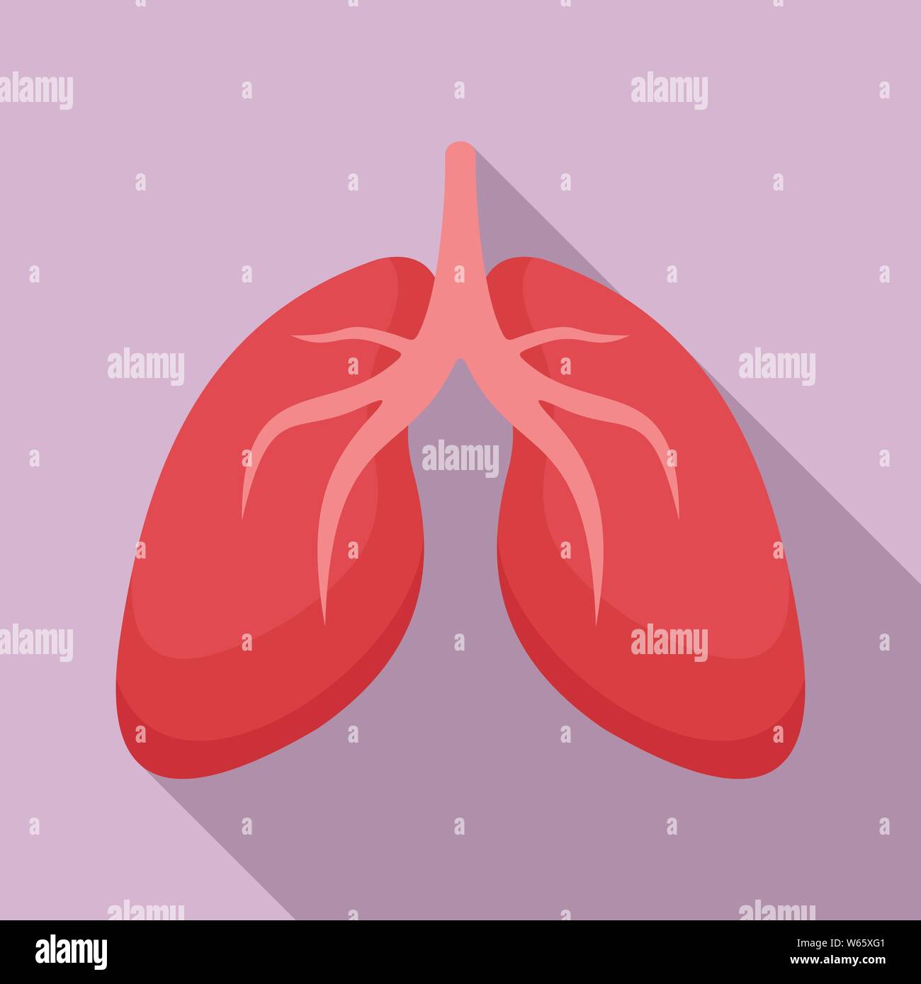 Lungs icon. Flat illustration of lungs vector icon for web design Stock ...
