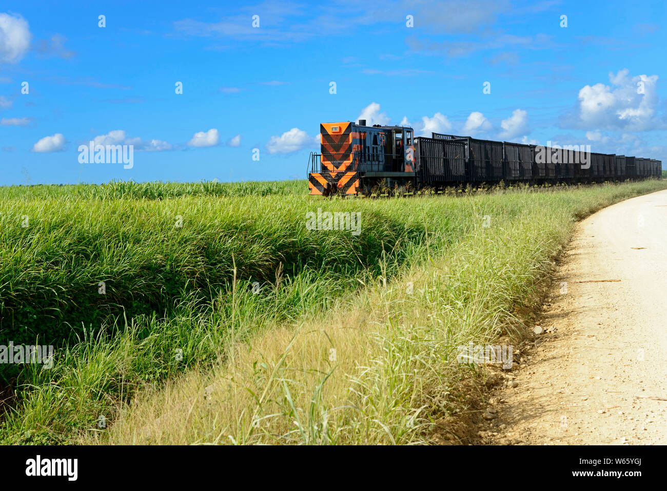 Railroad, sugarcane, sugar cane harvest, near San Rafael de Yuma, Dominican Republic, Carribean, America, (Saccharum officinarum) Stock Photo