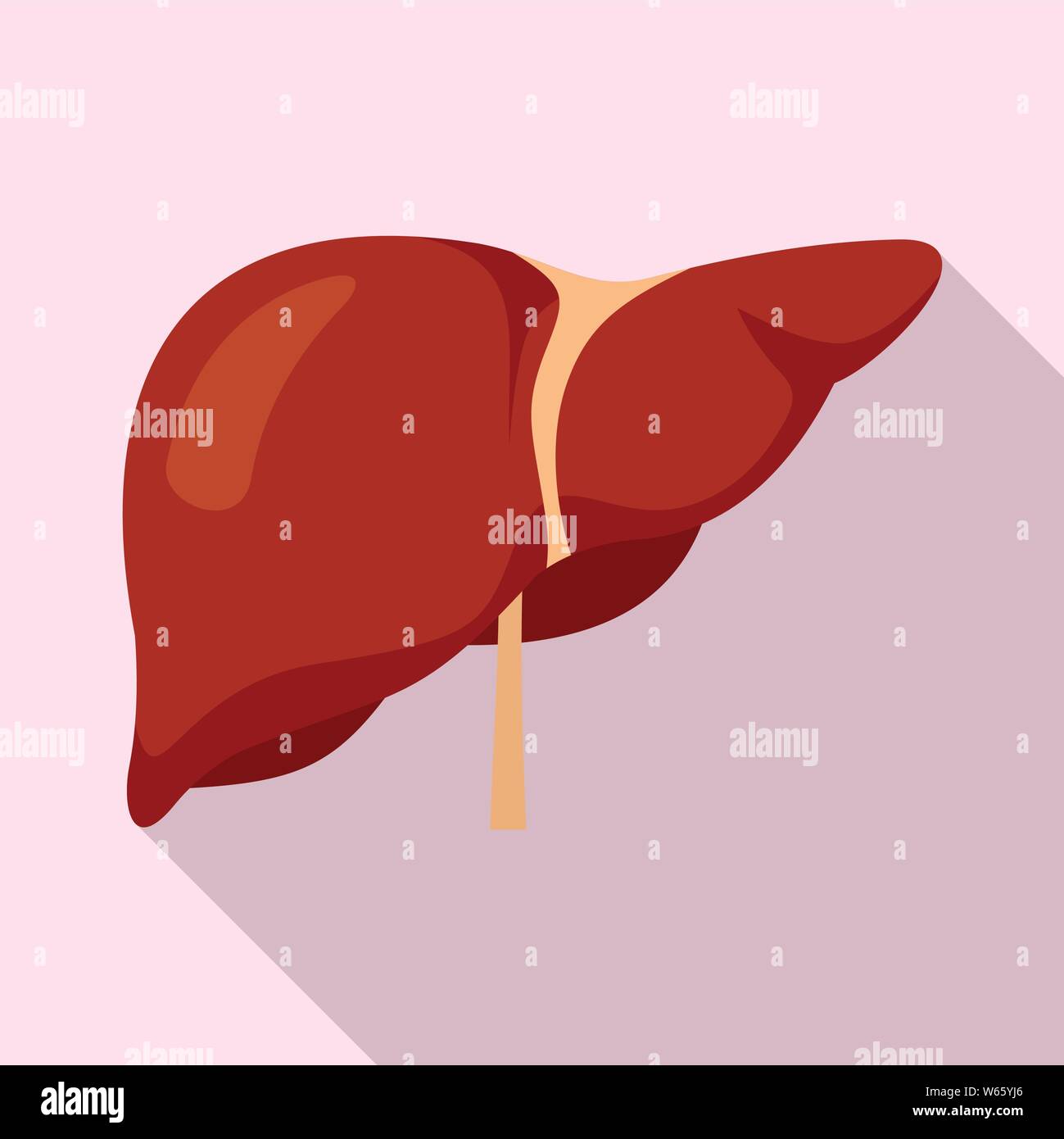 Human liver icon. Flat illustration of human liver vector icon for web ...