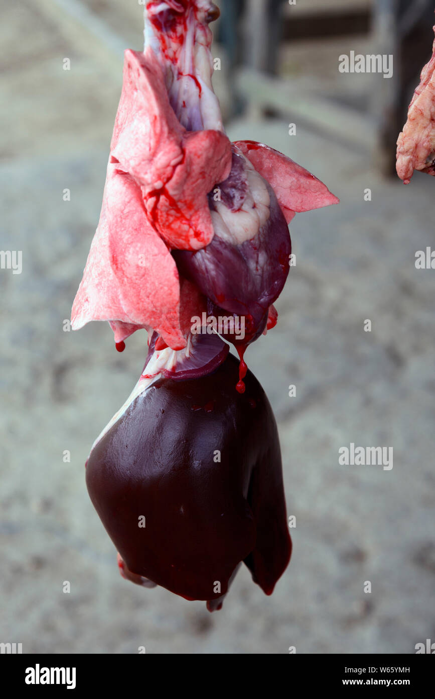 Offal for sale at roadside, Higuey, Dominican Republic, Carribean, America, Higüey Stock Photo