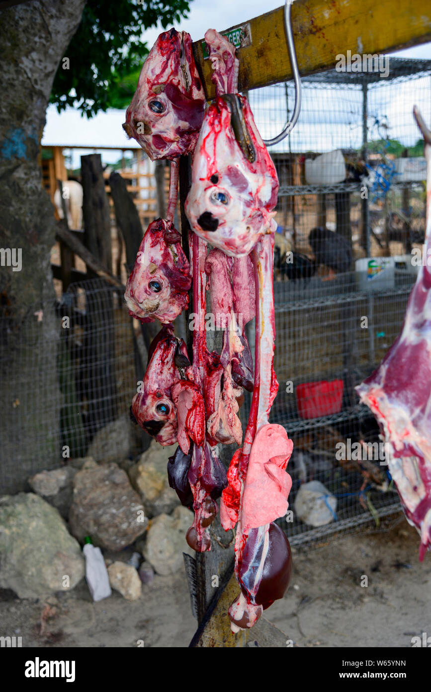 Heads and offal for sale at roadside, Higuey, Dominican Republic, Carribean, America, Higüey Stock Photo