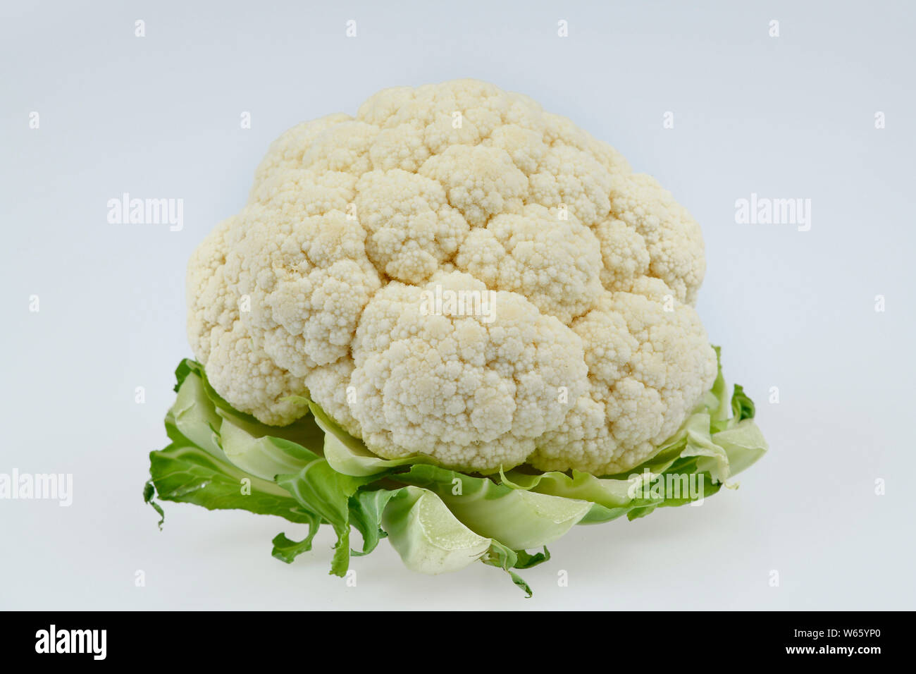cauliflower, Brassica oleracea var. botrytis Stock Photo