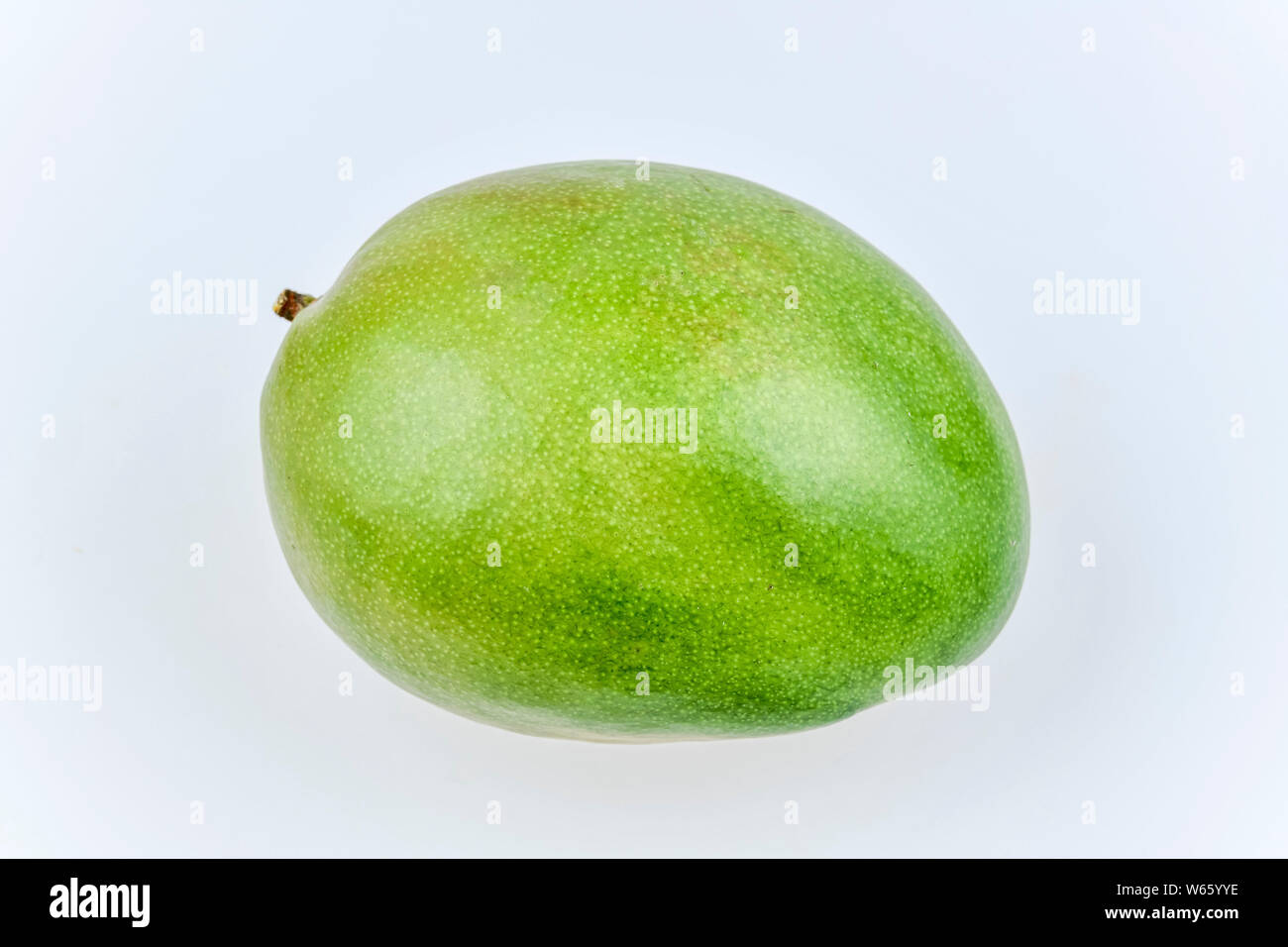green mango, Mangifera indica Stock Photo