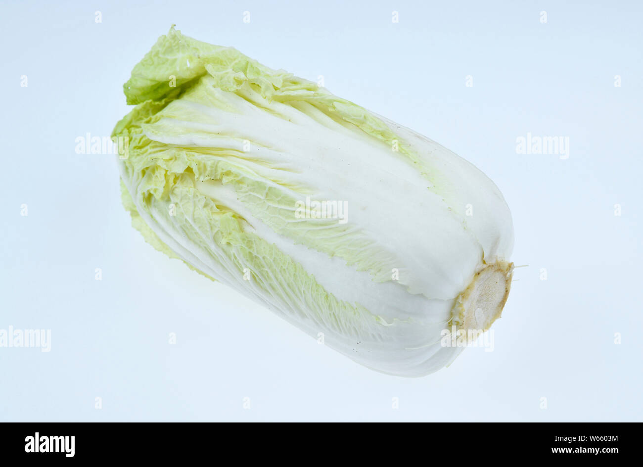 Napa cabbage, Brassica rapa pekinensis Stock Photo