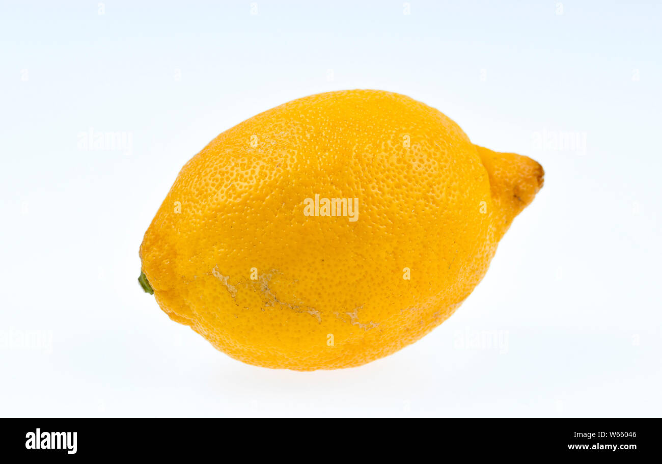 lemon, Citrus lemon Stock Photo