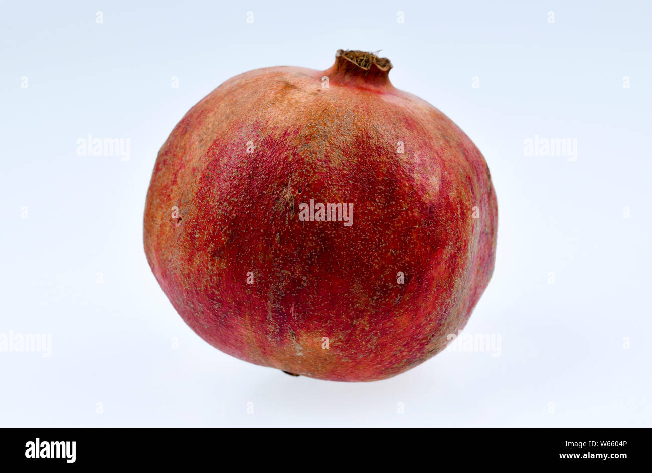 Pomegranate, Punica granatum Stock Photo