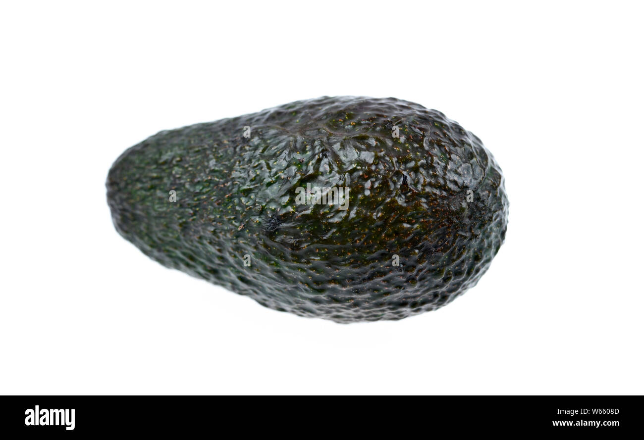 Hass Avocado, Persea americana Stock Photo